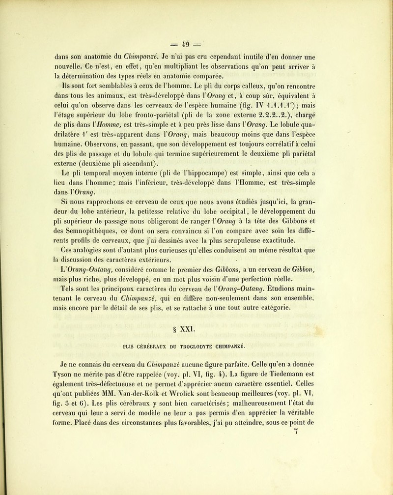 dans son anatomie du Chimpanzé. Je n’ai pas cru cependant inutile d’en donner une nouvelle. Ce n’est, en effet, qu’en multipliant les observations qu’on peut arriver à la détermination des types réels en anatomie comparée. Ils sont fort semblables à ceux de l’homme. Le pli du corps calleux, qu’on rencontre dans tous les animaux, est très-développé àansVOrang et, à coup sûr, équivalent à celui qu’on observe dans les cerveaux de l’espèce humaine (fig. IV 1.1.1.1'); mais l’étage supérieur du lobe fronto-pariétal (pli de la zone externe 2.2.2..2.), chargé de plis dans VHomme, est très-simple et à peu près lisse dans VOrang. Le lobule qua- drilatère 1' est très-apparent dans YOrang, mais beaucoup moins que dans l’espèce humaine. Observons, en passant, que son développement est toujours corrélatif à celui des plis de passage et du lobule qui termine supérieurement le deuxième pli pariétal externe (deuxième pli ascendant). Le pli temporal moyen interne (pli de l’hippocampe) est simple, ainsi que cela a lieu dans l’homme; mais l’inférieur, très-développé dans l’Homme, est très-simple dans YOrang. Si nous rapprochons ce cerveau de ceux que nous avons étudiés jusqu’ici, la gran- deur du lobe antérieur, la petitesse relative du lobe occipital, le développement du pli supérieur de passage nous obligeront de ranger YOrang à la tête des Gibbons et des Semnopitbèques, ce dont on sera convaincu si l’on compare avec soin les diffé- rents profils de cerveaux, que j’ai dessinés avec la plus scrupuleuse exactitude. Ces analogies sont d’autant plus curieuses qu’elles conduisent au même résultat que la discussion des caractères extérieurs. h’Orang-Outang, considéré comme le premier des Gibbons, a Un cerveau de Gibbon, mais plus riche, plus développé, en un mot plus voisin d’une perfection réelle. Tels sont les principaux caractères du cerveau de Y Orang-Outang. Étudions main- tenant le cerveau du Chimpanzé, qui en diffère non-seulement dans son ensemble, mais encore par le détail de ses plis, et se rattache à une tout autre catégorie. § XXL PLIS CÉRÉBRAUX DU TROGLODYTE CHIMPANZÉ. Je ne connais du cerveau du Chimpanzé aucune figure parfaite. Celte qu’en a donnée Tyson ne mérite pas d’être rappelée (voy. pl. VI, fig. 4). La figure de Tiedemann est également très-défectueuse et ne permet d’apprécier aucun caractère essentiel. Celles qu’ont publiées MM. Van-der-Kolk et Wrolick sont beaucoup meilleures (voy. pl. VI, fig. 5 et G). Les plis cérébraux y sont bien caractérisés; malheureusement l’état du cerveau qui leur a servi de modèle ne leur a pas permis d’en apprécier la véritable forme. Placé dans des circonstances plus favorables, j’ai pu atteindre, sous ce point de 7