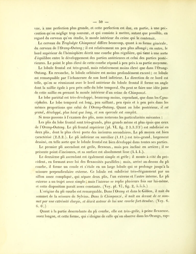 vue, à une perfection plus grande, et celte perfection est due, en partie, à une pré- caution qu’on néglige trop souvent, et qui consiste à mettre, autant que possible, en regard du cerveau qu’on étudie, le moule intérieur du crâne qui le contenait. Le cerveau du Troglodyte Chimpanzé diffère beaucoup, quant à sa forme générale, du cerveau de V Orang-Outang ; il est relativement un peu plus allongé; en outre, le bord supérieur de l’hémisphère décrit une courbe plus régulière, qui tient à une sorte d’équilibre entre le développement des parties antérieures et celui des parties posté- rieures. Le point le plus élevé de cette courbe répond à peu près à sa partie moyenne. Le lobule frontal est très-grand, mais relativement moins élevé que dans l’Orang- Outang. En revanche, le lobule orbitaire est moins profondément excavé ; ce lobule est remarquable par l’échancrure de son bord inférieur. La direction de ce bord est telle, qu’en se réunissant avec le bord antérieur du lobule frontal il forme un angle dont la saillie égale à peu près celle du lobe temporal. On peut se faire une idée juste de cette saillie en prenant le moule intérieur d’un crâne de Chimpanzé. Le lobe pariétal est très-développé, beaucoup moins, cependant, que dans les Cyno- céphales. Le lobe temporal est long, peu saillant, peu épais et à peu près dans les mêmes proportions que celui de XOrang-Outang. Quant au lobe postérieur, il est grand, développé, plus haut que long, et son opercule est complet. Si nous passons à l’examen des plis, nous noterons les particularités suivantes ; Les plis du lobe frontal sont très-grands, plus grands même et plus épais que ceux de VOrang-Outang. Le pli frontal supérieur (pl. VI, fig. 2 3.3.3'3') est subdivisé en deux plis, dont le plus élevé porte des incisures secondaires. Le pli moyen est bien caractérisé (2.2.2.). Le pli inférieur ou surcilier (1.11.) est très-grand, largement dessiné, en telle sorte que le lobule frontal est bien développé dans toutes ses parties. Le premier pli ascendant est grêle, flexueux, mais peu incliné en arrière ; il ne présente point d’incisures, et sa surface est absolument lisse (4.4.4.). Le deuxième pli ascendant est également simple et grêle; il monte à côté du pré- cédent, en formant avec lui des flexuosités parallèles; mais, arrivé au-dessus du pli courbe, il forme un coude et s’étale en un large lobule qui se prolonge jusqu’à la scissure perpendiculaire externe. Ce lobule est subdivisé très-élégamment par un sillon assez compliqué, qui sépare deux plis, l’un externe et l’autre interne. Le pli externe a un trajet assez simple; mais l’interne se replie plusieurs fois sur lui-même, et cette disposition paraît assez constante. (Voy. pl. VI, fig. 2, 5.5.5.) L’origine du pli courbe est remarquable. Dans VOrang et dans le Gibbon, il naît du sommet de la scissure de Sylvius. Dans le Chimpanzé, il naît au devant de ce som- met par une extrémité élargie, et décrit autour de lui une courbe fort étendue. (Voy. 6. 6. 6'.) Quant à la partie descendante du pli courbe, elle est très-grêle, à peine flexueuse, assez longue, et cette forme, qui s’éloigne de celle qu’on observe dans les Orangs, rap^