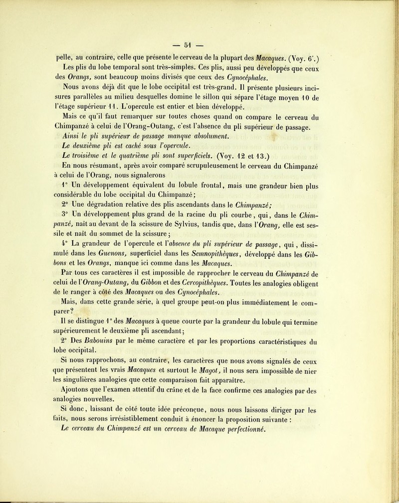 pelle, au contraire, celle que présente le cerveau de la plupart des Macaques. (Voy. 6'.) Les plis du lobe temporal sont très-simples. Ces plis, aussi peu développés que ceux des Oranqs, sont beaucoup moins divisés que ceux des Cynocéphales. Nous avons déjà dit que le lobe occipital est très-grand. 11 présente plusieurs inci- sures parallèles au milieu desquelles domine le sillon qui sépare l’étage moyen 10 de l’étage supérieur 11. L’opercule est entier et bien développé. Mais ce qu’il faut remarquer sur toutes choses quand on compare le cerveau du Chimpanzé à celui de l’Orang-Outang, c’est l’absence du pli supérieur de passage. Ainsi le pli supérieur de passage manque absolument. Le deuxième pli est caché sous l’opercule. Le troisième et le quatrième pli sont superficiels. (Voy. 12 et 13.) En nous résumant, après avoir comparé scrupuleusement le cerveau du Chimpanzé à celui de l’Orang, nous signalerons r Un développement équivalent du lobule frontal, mais une grandeur bien plus considérable du lobe occipital du Chimpanzé; 2 Une dégradation relative des plis ascendants dans le Chimpanzé; 3° Un développement plus grand de la racine du pli courbe, qui, dans le Chim- panzé, naît au devant de la scissure de Sylvius, tandis que, dans YOrang, elle est ses- sile et naît du sommet de la scissure ; 4” La grandeur de l’opercule et Vabsence du pli supérieur de passage, qui, dissi- mulé dans les Guenons, superficiel dans les Semnopithèques, développé dans les Gib- bons et les Orangs, manque ici comme dans les Macaques. Par tous ces caractères il est impossible de rapprocher le cerveau du Chimpanzé de celui de Y Orang-Outang, du Gibbon et des Cercopithèques. Toutes les analogies obligent de le ranger à côté des Macaques ou des Cynocéphales. Mais, dans cette grande série, à quel groupe peut-on plus immédiatement le com- parer? Il se distingue 1 “ des Macaques à queue courte par la grandeur du lobule qui termine supérieurement le deuxième pli ascendant; 2“ Des Babouins par le même caractère et par les proportions caractéristiques du lobe occipital. Si nous rapprochons, au contraire, les caractères que nous avons signalés de ceux que présentent les vrais Macaques et surtout le Magot, il nous sera impossible de nier les singulières analogies que cette comparaison fait apparaître. Ajoutons que l’examen attentif du crâne et de la face confirme ces analogies par des analogies nouvelles. Si donc, laissant de côté toute idée préconçue, nous nous laissons diriger par les faits, nous serons irrésistiblement conduit à énoncer la proposition suivante : Le cerveau du Chimpanzé est un cerveau de Macaque perfectionné.
