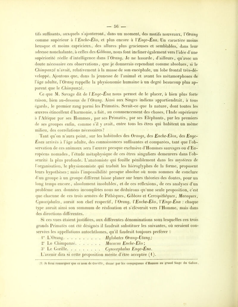 til's suffisants, auxquels s’ajouteront, dans un moment, des motifs nouveaux, VOrang comme supérieur à VEnche-Êko, et plus encore à VEnge-Ëna. Un caractère moins brusque et moins capricieux, des allures plus gracieuses et semblables, dans leur adresse nonchalante, à celles des Gibbons^ nous font incliner également vers l’idée d’une supériorité réelle d’intelligence dans VOrang. Je ne hasarde, d’ailleurs, qu’avec un doute nécessaire ces observations, que je donnerais cependant comme absolues, si le Chimpanzé n’avait, relativement à la masse de son encéphale, un lobe frontal très-dé- veloppé. Ajoutons que, dans la jeunesse de l’animal et avant les métamorphoses de l’âge adulte, VOrang rappelle la pliysiouomie humaine à un degré beaucoup plus ap- parent que le Chimpanzé. Ce que M. Savage dit de VEnge-Ëna nous permet de le placer, à bien plus forte raison, bien au-dessous de VOrang. Ainsi aux Singes indiens appartiendrait, à tous égards, le premier rang parmi les Primates. Serait-ce que la nature, dont toutes les œuvres étincellent d’harmonie, a fait, au commencement des choses, l’Inde supérieure à l’Afrique par ses Hommes, par ses Primatès, par ses Éléphants, par les premiers de ses groupes enfin, comme s’il y avait, entre tous les êtres qui habitent un même milieu, des corrélations nécessaires? Tant qu’on n’aura point, sur les habitudes des Orangs, des Enche-Ëkos, des Enge- Ënas arrivés à l’âge adulte, des connaissances suffisantes et comparées, tant que l’ob- servation de ces animaux sera l’œuvre presque exclusive d’Hommes sauvages ou d’Eu- ropéens nomades, l’étude métaphysique de ces êtres singuliers demeurera dans l’ob- scurité la plus profonde. L’anatomiste (|ui fouille péniblement dans les mystères de l’organisation, le physionomiste qui traduit les hiéroglyphes de la forme, proposent leurs hypothèses; mais l’impossihilité presque absolue où nous sommes de conclure d’un groupe à un groupe ditïerent laisse planer sur leurs théories des doutes, pour un long temps encore, absolument insolubles, et de ces réflexions, de ces analyses d’un problème aux données incomplètes nous ne déduirons qu’une seule proposition, c’est (|ue chacune de ces trois armées de Pithèques, Gibbons et Cercopithèques^ Macaques, Cynocéphales, aurait son chef respectif, VOrang, V Enche-Eko, V Enge-Ëna : chaque type aurait ainsi son summum de réalisation et s’élèverait vers l’Homme, mais dans des directions différentes. Si ces vues étaient justifiées, aux differentes dénominations sous lesquelles ces trois grands Primatès ont été désignés il faudrait substituer les suivantes, où seraient con- servées les appellations autochthones, qu’il faudrait toujours préférer : r L’Orang Hylobates Orang-Utang; 2° Le Chimpanzé Macacus Enche-Ëko; 3“ Le Gorille Cynocephalus Enge-Ëna. L’avenir dira si cette proposition mérite d’être acceptée (l). (1) Je ferai remarquer que ce nom de Gorille, donué par les compagnons d’Hannon au grand Singe du Gabon,