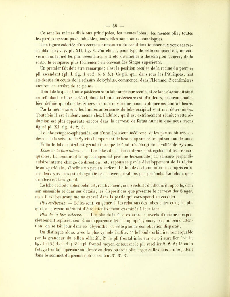 Ce sont les mêmes divisions principales, les mêmes lobes, les mêmes plis; toutes les parties ne sont pas semblables, mais elles sont toutes homologues. Une figure coloriée d’un cerveau humain vu de profd fera toucher aux yeux ces res- semblances; voy. pl. XII, fig. J’ai choisi, pour type de cette comparaison, un cer- veau dans lequel les plis secondaires ont été dissimulés à dessein; on pourra, de la sorte, le comparer plus facilement au cerveau des Singes supérieurs. Un premier fait doit être remarqué; c’est la position reculée de la racine du premier pli ascendant (pl. I, fjg. 1 et 2, 4. 4. 4.). Ce pli, qui, dans tous les Pitlièques, naît au-dessus du coude de la scissure de Sylvius, commence, dans l’Homme, 2 centimètres environ en arrière de ce point. Il suit de là que la limite postérieure du lobe antérieur recule, et ce lobe s’agrandit ainsi en refoulant le lobe pariétal, dont la limite postérieure est, d’ailleurs, beaucoup moins bien définie que dans les Singes par une raison que nous expliquerons tout à l’heure. Par la même raison, les limites antérieures du lobe occipital sont mal déterminées. Toutefois il est évident, même chez l’adulte, qu’il est extrêmement réduit; cette ré- duction est plus apparente encore dans le cerveau de fœtus humain que nous avons figuré pl. XI, fig. 1, 2, 3. Le lobe temporo-sphénoïdal est d’une épaisseur médiocre, et les parties situées au- dessus de la scissure de Sylvius l’emportent de beaucoup sur celles qui sont au-dessous. Enfin le lobe central est grand et occupe le fond très-élargi de la vallée de Sylvius. Lobes de la face interne. — Les lobes de la face interne sont également très-remar- quables. La scissure des hippocampes est presque horizontale ; la scissure perpendi- culaire interne change de direction, et, repoussée par le développement de la région fronto-pariétale, s’incline un peu en arrière. Le lobule occipital interne compris entre ces deux scissures est triangulaire et couvert de sillons peu profonds. Le lobule qua- drilatère est très-grand. Le lobe occipito-sphénoïdal est, relativement, assez réduit; d’ailleurs il rappelle, dans son ensemble et dans ses détails, les dispositions que présente le cerveau des Singes, mais il est beaucoup moins excavé dans la partie qui correspond au cervelet. Plis cérébraux. — Telles sont, en général, les relations des lobes entre eux; les plis (}ui les couvrent méritent d’être attentivement examinés à leur tour. Plis de la face externe. — Les plis de la face externe, couverts d’incisures capri- cieusement repliées, sont d’une apparence très-compliquée; mais, avec un peu d’atten- tion, on se fait jour dans ce labyrinthe, et cette grande complication disparaît. On distingue alors, avec la plus grande facilité, U le lobule orbitaire, remarquable par la grandeur du sillon olfactif; 2° le pli frontal inférieur ou pli surcilier (pl. I, fig. 1 et 2) 1.1.1.; 3“ le pli frontal moyen entourant le pli surcilier 2. 2. 2; 4“ enfin l’étage frontal supérieur subdivisé en deux ou trois plis larges et flexueux (|ui se jettent dans le sommet du premier pli ascendant 3'. 3'. 3'.