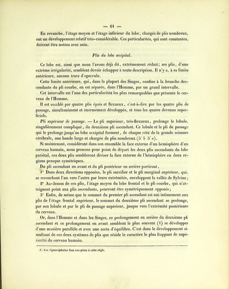 En revanche, l’étage moyen et l’étage inférieur du lobe, chargés de plis nombreux, ont un développement relatif très-considérable. Ces particularités, qui sont constantes, doivent être notées avec soin. Plis du lobe occipital. Ce lobe est, ainsi que nous l’avons déjà dit, extrêmement réduit; ses plis, d’une extrême irrégularité, semblent devoir échapper à toute description. Il n’y a, à sa limite antérieure, aucune trace d’opercule. Cette limite antérieure, qui, dans la plupart des Singes, confine à la branche des- cendante du pli courbe, en est séparée, dans l’Homme, par un grand intervalle. Cet intervalle est l’une des particularités les plus remarquables que présente le cer- veau de l’Homme. Il est comblé par quatre plis épais et flexueux, c’est-à-dire par les quatre plis de passage, simultanément et énormément développés, et tous les quatre devenus super- ficiels. Pli supérieur de passage. — Le pli supérieur, très-flexueux, prolonge le lobule, singulièrement compliqué, du deuxième pli ascendant. Ce lobule et le pli de passage qui le prolonge jusqu’au lobe occipital forment, de chaque côté de la grande scissure cérébrale, une bande large et chargée de plis nombreux (5' 5' 5' ^t). Si maintenant, considérant dans son ensemble la face externe d’un hémisphère d’un cerveau humain, nous prenons pour point de départ les deux plis ascendants du lobe pariétal, ces deux plis sembleront diviser la face externe de l’hémisphère en deux ré- gions presque symétriques. Du pli ascendant en avant et du pli postérieur en arrière partiront, 1” Dans deux directions opposées, le pli surcilier et le pli marginal supérieur, qui, se recourbant l’un vers l’autre par leurs extrémités, enveloppent la vallée de Sylvius ; Au-dessus de ces plis, l’étage moyen du lobe frontal et le pli courbe, qui n’at- teignent point aux plis ascendants, pourront être symétriquement opposés ; 3” Enfin, de même que le sommet du premier pli ascendant est uni intimement aux plis de l’étage frontal supérieur, le sommet du deuxième pli ascendant se prolonge, par son lobule et par le pli de passage supérieur, jusque vers l’extrémité postérieure du cerveau. Or, dans l’Homme et dans les Singes, ce prolongement en arrière du deuxième pli' ascendant et ce prolongement en avant semblent le plus souvent (1) se développer d’une manière parallèle et avec une sorte d’équilibre. C’est dans le développement si- multané de ces deux systèmes de plis que réside le caractère le plus frappant de supé- riorité du cerveau humain. il) Les Cynocéphales font exception à cette règle.