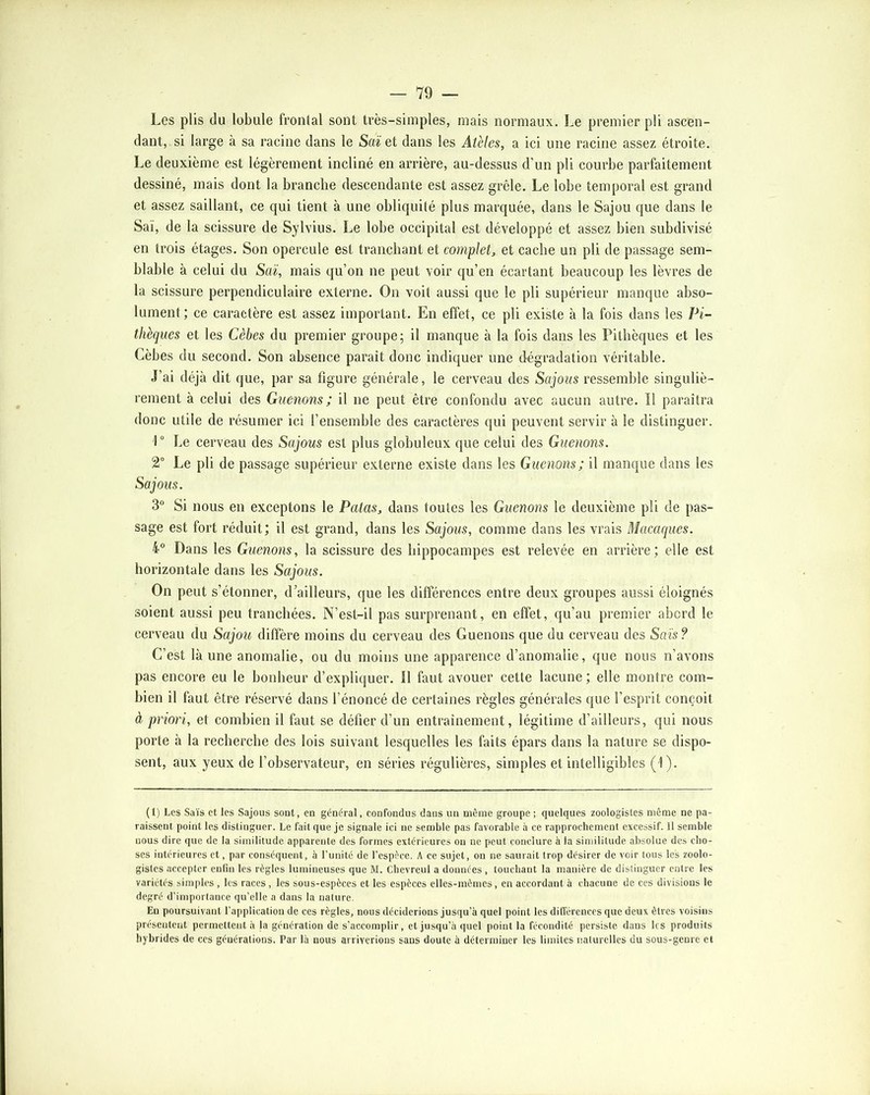 Les plis du lobule frontal sont très-simples, mais normaux. Le premier pli ascen- dant, si large à sa racine dans le Saï et dans les Atèles, a ici une racine assez étroite. Le deuxième est légèrement incliné en arrière, au-dessus d’un pli courbe parfaitement dessiné, mais dont la branche descendante est assez grêle. Le lobe temporal est grand et assez saillant, ce qui tient à une obliquité plus marquée, dans le Sajou que dans le Saï, de la scissure de Sylvius. Le lobe occipital est développé et assez bien subdivisé en trois étages. Son opercule est tranchant et complet, et cache un pli de passage sem- blable à celui du Saï, mais qu’on ne peut voir qu’en écartant beaucoup les lèvres de la scissure perpendiculaire externe. On voit aussi que le pli supérieur manque abso- lument ; ce caractère est assez important. En effet, ce pli existe à la fois dans les IH- thèques et les Cèbes du premier groupe; il manque à la fois dans les Pitbèques et les Cèbes du second. Son absence paraît donc indiquer une dégradation véritable. J’ai déjà dit que, par sa figure générale, le cerveau des Sajous ressemble singuliè- rement à celui des Guenons; il ne peut être confondu avec aucun autre. Il paraîtra donc utile de résumer ici l’ensemble des caractères qui peuvent servir à le distinguer. Le cerveau des Sajous est plus globuleux que celui des Guenons. 2° Le pli de passage supérieur externe existe dans les Guenons; il manque dans les Sajous. 3“ Si nous eu exceptons le Patas, dans toutes les Guenons le deuxième pli de pas- sage est fort réduit; il est grand, dans les Sajous, comme dans les vrais Macaques. 4° Dans les Guenons, la scissure des hippocampes est relevée en arrière; elle est horizontale dans les Sajous. On peut s’étonner, d’ailleurs, que les différences entre deux groupes aussi éloignés soient aussi peu tranchées. N’est-il pas surprenant, en effet, qu’au premier abord le cerveau du Sajou diffère moins du cerveau des Guenons que du cerveau des Sais? C’est là une anomalie, ou du moins une apparence d’anomalie, que nous n’avons pas encore eu le bonheur d’expliquer. 11 faut avouer cette lacune ; elle montre com- bien il faut être réservé dans l’énoncé de certaines règles générales que l’esprit conçoit à priori, et combien il faut se défier d’un entraînement, légitime d’ailleurs, qui nous porte à la recherche des lois suivant lesquelles les faits épars dans la nature se dispo- sent, aux yeux de l’observateur, en séries régulières, simples et intelligibles (1). (1) Les Sais et les Sajous sont, en général, confondus dans un môme groupe; quelques zoologistes même ne pa- raissent point les distinguer. Le fuit que je signale ici ne semble pas favorable à ce rapprochement excessif. Il semble nous dire que de la similitude apparente des formes extérieures ou ne peut conclure à la similitude absolue des cho- ses intérieures et, par conséquent, à Tunité de l’espèce. A ce sujet, on ne saurait trop désirer de voir tous les zoolo- gistes accepter enfin les règles lumineuses que M. Chevreul a données , touchant la manière de distinguer entre les variétés simples , les races, les sous-espèces et les espèces elles-mêmes, en accordant à chacune de ces divisions le degré d’importance qu’elle a dans la nature. En poursuivant l'application de ces règles, nous déciderions jusqu’à quel point les dilférences que deux êtres voisins présentent permettent à la génération de s’accomplir, et jusqu’à quel point la fécondité persiste dans 1rs produits hybrides de ces générations. Par là nous arriverions sans doute à déterminer les limites naturelles du sous-genre et