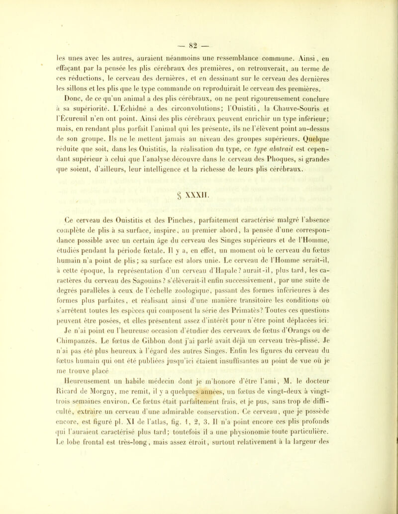 les unes avec les autres, auraient néanmoins une ressemblance commune. Ainsi, en effaçant par la pensée les plis cérébraux des premières, on retrouverait, au terme de ces réductions, le cerveau des dernières, et en dessinant sur le cerveau des dernières les sillons et les plis que le type commande on reproduirait le cerveau des premières. Donc, de ce qu’un animal a des plis cérébraux, on ne peut rigoureusement conclure à sa supériorité. L’Èchidné a des circonvolutions; l’Ouistiti, la Gbauve-Souris et l’Écureuil n’en ont point. Ainsi des plis cérébraux peuvent enricbir un type inférieur; mais, en rendant plus parfait l’animal qui les présente, ils ne l’élèvent point au-dessus de son groupe. Ils ne le mettent jamais au niveau des groupes supérieurs. Quelque réduite que soit, dans les Ouistitis, la réalisation du type, ce type abstrait est cepen- dant supérieur à celui que l’analyse découvre dans le cerveau des Phoques, si grandes (]ue soient, d’ailleurs, leur intelligence et la richesse de leurs plis cérébraux. § XXXII. Ce cerveau des Ouistitis et des Pincbes, parfaitement caractérisé malgré l’absence complète de plis à sa surface, inspire, au j)remier abord, la pensée d’une correspon- dance possible avec un certain âge du cerveau des Singes supérieurs et de l’Homme, étudiés pendant la période fœtale. Il y a, en effet, un moment où le cerveau du fœtus humain n’a point de plis; sa surface est alors unie. Le cerveau de l’Homme serait-il, à cette époque, la représentation d’un cerveau d’IIapale? aurait-il, plus tard, les ca- ractères du cerveau des Sagouins? s’élèverait-il enfin successivement, par une suite de degrés parallèles à ceux de l’échelle zoologique, passant des formes inférieures à des formes plus parfaites, et réalisant ainsi d’une manière transitoire les conditions où s’arrêtent toutes les espèces (|ui composent la série des Primatès? Toutes ces questions peuvent être posées, et elles présentent assez d’intérêt pour n’être point déplacées ici. Je n’ai point eu l’heureuse occasion d’étudier des cerveaux de fœtus d’Orangs ou de (diimpanzés. Le fœtus de Gibbon dont j’ai parlé avait déjà un cerveau très-plissé. Je n’ai pas été plus heureux à l’égard des autres Singes. Enfin les figures du cerveau du fœtus humain qui ont été publiées jusqu’ici étaient insuffisantes au point de vue où je me trouve placé Heureusement un habile médecin dont je m’honore d’être l’ami, M. le docteur Ricard de Morgny, me remit, il y a quelques années, un fœtus de vingt-deux à vingt- trois semaines environ. Ce fœùus était parfaitement frais, et je pus, sans trop de diffi- culté, extraire un cerveau d’une admirable conservation. Ce cerveau, que je possède encore, est figuré pl. XI de l’atlas, fig. 1, 2, 3. 11 n’a point encore ces plis profonds qui l’auraient caractérisé plus tard; toutefois il a une physionomie toute pai ticulière. Le lobe frontal est très-long, mais assez étroit, surtout relativement à la largeur des