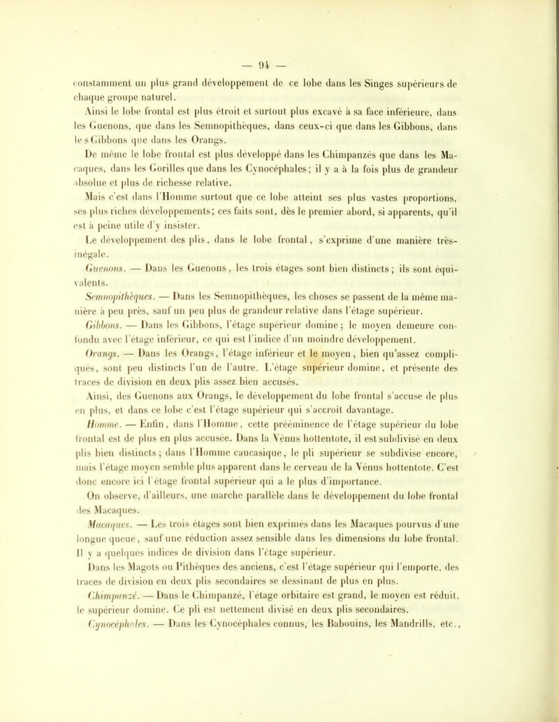 coiistammenl un plus grand développement de ce lobe dans les Singes supérieurs de chaque groupe naturel. Ainsi le lobe frontal est plus étroit et surtout plus excavé à sa face inférieure, dans les Guenons, que dans les Semnopithèques, dans ceux-ci que dans les Gibbons, dans le s Gibbons (jue dans les Orangs. De même le lobe frontal est plus développé dans les Ghimpanzés que dans les Ma- caques, dans les Gorilles que dans les Cynocéphales ; il y a à la fois plus de grandeur absolue et plus de richesse relative. Mais c’est dans rHomme surtout que ce lobe atteint ses plus vastes proportions, ses plus riches développements; ces faits sont, dès le premier abord, si apparents, qu’il est à peine utile d’y insister. De développement des plis, dans le lobe frontal, s’exprime d’une manière très- inégale. Ctuenom. — Dans les Guenons, les trois étages sont bien distincts; ils sont équi- valents. Semnopithèques. — Dans les Semnopithèques, les choses se passent de la même ma- nière à peu i)i‘ès, sauf un peu plus de grandeur relative dans l’étage supérieur. Gibbons. — Dans les Gibbons, l’étage supérieur domine ; le moyen demeure con- fondu avec l’étage inférieur, ce qui est l'indice d’un moindre développement. Orangs. — Dans les Orangs, l’étage inférieur et le moyen, bien qu’assez compli- qués, sont peu distincts l’un de l’autre. L’étage supérieur domine, et présente des traces de division en deux plis assez bien accusés. Ainsi, des Guenons aux Orangs, le développement du lobe frontal s’accuse de plus en plus, et dans ce lobe c’est l’étage supérieur qui s’accroît davantage. Homme. — Enfin, dans l’Ilomme, cette prééminence de l’étage suj)érieur du lobe frontal est de plus en plus accusée. Dans la Vénus holtentote, il est subdivisé en deux plis bien distincts; dans l’Homme caucasique, le pli supérieur se subdivise encore, mais l’étage moyen seiuble plus apparent dans le cerveau de la Vénus bottentote. G’est donc encore ici l’étage frontal supérieur (|ui a le plus d’importance. On observe, d’ailleurs, une marche parallèle dans le développement du lobe frontal des Macaques. Maca(jues. — Les trois étages sont bien exprimés dans les Macaques pourvus d’une longue queue, sauf une réduction assez sensible dans les dimensions du lobe frontal. Il y a (juelques indices de division dans l’étage supérieur. Dans les Magots ou Lithèques des anciens, c’est l’étage supérieur qui l’emporte, des traces de division en deux plis secondaires se dessinant de plus en plus. Chimpanzé. — Dans le Ghimpanzé, l’étage orbitaire est grand, le moyen est réduit, le supérieur domine. Ge pli est nettement divisé en deux plis secondaires. Cynocéplailes. — Dans les Cynocéphales connus, les Babouins, les Mandrills, etc.,