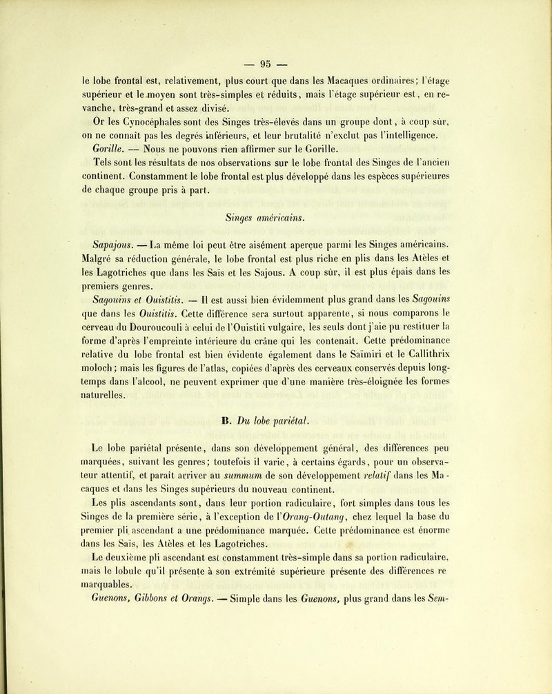 le lobe frontal est, relativement, plus court que dans les Macaques ordinaires; l’étage supérieur et le moyen sont très-simples et réduits, mais l’étage supérieur est, en re- vanche, très-grand et assez divisé. Or les Cynocéphales sont des Singes très-élevés dans un groupe dont, à coup sùr, on ne connaît pas les degrés inférieurs, et leur brutalité n’exclut pas l’intelligence. Gorille. ~ Nous ne pouvons rien affirmer sur le Gorille. Tels sont les résultats de nos observations sur le lobe frontal des Singes de l’ancien continent. Constamment le lobe frontal est plus développé dans les espèces supérieures de chaque groupe pris à part. Singes américains. Sapajous. —La même loi peut être aisément aperçue parmi les Singes américains. Malgré sa réduction générale, le lobe frontal est plus riche en plis dans les Atèles et les Lagotricbes que dans les Sais et les Sajous. A coup sùr, il est plus épais dans les premiers genres. Sagouins et Ouistitis. ~ Il est aussi bien évidemment plus grand dans les Sagouins que dans les Ouistitis. Cette différence sera surtout apparente, si nous comparons le cerveau du Douroucouli à celui de l’Ouistiti vulgaire, les seuls dont j’aie pu restituer la forme d’après l’empreinte intérieure du crâne qui les contenait. Cette prédominance relative du lobe frontal est bien évidente également dans le Saïmiri et le Callithrix moloch; mais les figures de l’atlas, copiées d’après des cerveaux conservés depuis long- temps dans l’alcool, ne peuvent exprimer que d’une manière très-éloignée les formes naturelles. B. Du lobe pariétal. Le lobe pariétal présente, dans son développement général, des différences peu marquées, suivant les genres; toutefois il varie, à certains égards, pour un observa- teur attentif, et paraît arriver au summum de son développement relatif dans les Ma - caques et dans les Singes supérieurs du nouveau continent. Les plis ascendants sont, dans leur portion radiculaire, fort simples dans tous les Singes de la première série, à l’exception de ïOrang-Outang, chez lequel la base du premier pli ascendant a une prédominance marquée. Cette prédominance est énorme dans les Sais, les Atèles et les Lagotricbes. Le deuxième pli ascendant est constamment très-simple dans sa portion radiculaire, mais le lobule qu’il présente à son extrémité supérieure présente des différences re marquables. Guenons, Gibbons et Orangs. — Simple dans les Guenons, plus grand dans les Sem-