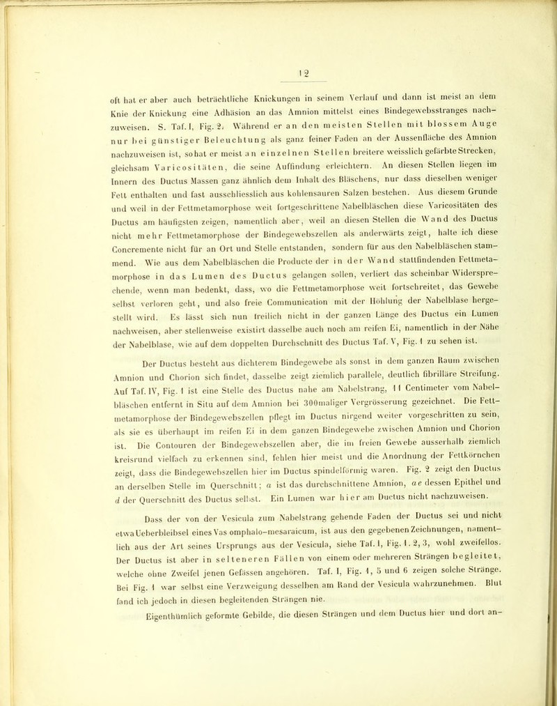 oft hat er aber auch beträchtliche Knickungen in seinem Verlauf und dann ist meist an dem Knie der Knickung eine Adhäsion an das Amnion mittelst eines Bindegewebsstranges nach- zuweisen. S. Taf.I, Fig. 2.- Während er an den meisten Stellen mit blossem Auge nur bei günstiger Beleuchtung als ganz feiner Faden an der Aussenfläche des Amnion nachzuweisen ist, so hat er meist an einzelnen Stellen breitere weisslich gefärbte Strecken, gleichsam Va r i cos i täte n, die seine Auffindung erleichtern. An diesen Stellen liegen im Innern des Ductus Massen ganz ähnlich dem Inhalt des Bläschens, nur dass dieselben weniger Fett enthalten und fast ausschliesslich aus kohlensauren Salzen bestehen. Aus diesem Grunde und weil in der Fettmetamorphose weit fortgeschrittene Nabelbläschen diese Varicositäten des Ductus am häufigsten zeigen, namentlich aber, weil an diesen Stellen die Wand des Ductus nicht mehr Fettmetamorphose der Bindegewebszellen als anderwärts zeigt, halte ich diese Goncremente nicht für an Ort und Stelle entstanden, sondern für aus den Nabelbläschen stam- mend. Wie aus dem Nabelbläschen die Producte der in der Wand stattfindenden Fettmeta- morphose in das Lumen des Ductus gelangen sollen, verliert das scheinbar Widerspre- chende, wenn man bedenkt, dass, wo die Fettmetamorphose weit fortschreitet, das Gewebe selbst verloren geht, und also freie Communicalion mit der Höhlung der Nabelblase herge- stellt wird. Es lässt sich nun freilich nicht in der ganzen Länge des Ductus ein Lumen nachweisen, aber stellenweise existirt dasselbe auch noch am reifen Ei, namentlich in der Nähe der Nabelblase, wie auf dem doppelten Durchschnitt des Ductus laf. \, Fig. 1 zu sehen ist. Der Ductus besieht aus dichterem Bindegewebe als sonst in dem ganzen Raum zwischen Amnion und Chorion sich findet, dasselbe zeigt ziemlich parallele, deutlich fibrilläre Streifung. Auf Taf. IV, Fig. 1 ist eine Stelle des Ductus nahe am Nabelstrang, II Centimeter vom Nabel- bläschen entfernt in Situ auf dem Amnion bei 300maliger Vergrösserung gezeichnet. Die Fett- metamorphose der Bindegewebszellen pflegt im Ductus nirgend weiter vorgeschritten zu sein, als sie es überhaupt im reifen Ei in dem ganzen Bindegewebe zwischen Amnion und Chorion ist. Die Contouren der Bindegewebszellen aber, die im freien Gewebe ausserhalb ziemlich kreisrund vielfach zu erkennen sind, fehlen hier meist und die Anordnung der Fettkörnchen zeigt, dass die Bindegewebszellen hier im Ductus spindelförmig waren. Fig. 2 zeigt den Ductus an derselben Stelle im Querschnitt; a ist das durchschnittene Amnion, ae dessen Epithel und d der Querschnitt des Ductus selbst. Ein Lumen war hier am Ductus nicht nachzuweisen. Dass der von der Vesicula zum Nabelstrang gehende Faden der Ductus sei und nicht etwa Ueberbleibsel eines Vas omphalo-mesaraicum, ist aus den gegebenen Zeichnungen, nament- lich aus der Art seines Ursprungs aus der Vesicula, siehe Tat. 1, Fig. \. 2, 3, wohl zweilellos. Der Ductus ist aber in selteneren Fällen von einem oder mehreren Strängen begleitet, welche ohne Zweifel jenen Gefässen angehören. Taf. I, Fig. 1, 5 und 6 zeigen solche Stränge. Bei Fig. \ war selbst eine Verzweigung desselben am Band der Vesicula wahrzunehmen. Blut fand ich jedoch in diesen begleitenden Strängen nie. Eigenlhürnlich geformte Gebilde, die diesen Strängen und dem Ductus hier und dort an-