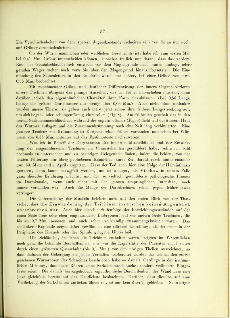 Die Verschiedenheiten von dem spätem Jugendzustande reduciren sich von da an nur noch auf Grössenverschiedenheiten. Ob der Wurm männlichen oder weiblichen Geschlechts ist, habe ich zum ersteh Mal bei 0,41 Mm. Grösse unterscheiden können, zunächst freilich nur daran, dass das vordere Ende des Genitalschlauchs sich entweder vor dem Magengrunde nach hinten umbog, oder* geraden Weges weiter nach vorn bis über den Magengrund hinaus fortsetzte. Die Ein- mündung des Samenleiters in den Enddarm wurde erst später, bei einer Grösse von etwa 0,53 Mm. beobachtet. Mit zunehmender Grösse und deutlicher Differenzirung der innern Organe verloren unsere Trichinen übrigens das plumpe Aussehen, das wir früher hervorheben mussten, ohne darüber jedoch den eigenthümlichen Charakter ihrer Form einzubüssen. (Bei 0,56 Länge betrug der grösste Durchmesser nur wenig über 0,03 Mm.) Aber nicht bloss schlanker wurden unsere Thiere, sie gaben auch meist jetzt schon ihre frühere Längsstreckung auf, um sich bogen- oder schlingenförmig einzurollen (Fig. 8). Am frühesten geschah das in den weiten Sarkolemmaschläuchen, während die engern oftmals (Fig. 6) dicht auf der äussern Haut des Wurmes auflagen und die Zusammenkrümmung noch eine Zeit lang verhinderten. Eine gewisse Tendenz zur Krümmung ist übrigens schon früher vorhanden und schon bei Wür- mern von 0,35 Mm. mitunter auf das Bestimmteste nachzuweisen. Was ich in Betreff der Degeneration der inficirten Muskelbündel und der Entwick- lung der eingeschlossenen Trichinen im Voranstehenden geschildert habe, sollte ich bald nochmals zu untersuchen und zu bestätigen Gelegenheit finden, indem die beiden, von der letzten Fütterung mir übrig gebliebenen Kaninchen kurze Zeit darauf rasch hinter einander (am 30. März und 1. April) crepirten. Dass der Tod auch hier eine Folge der Helminthiasis gewesen, kann kaum bezweifelt werden, um so weniger, als Virchow in seinem Falle ganz dieselbe Erfahrung machte, und der so vielfach geschilderte pathologische Process im Darmkanale, wenn auch nicht mit der ganzen ursprünglichen Intensität, noch immer vorhanden war. Auch die Menge der Darmtrichinen schien gegen früher etwas verringert. Die Untersuchung der Muskeln belehrte mich auf den ersten Blick von der That- sache, dass die Einwanderung der Trichinen inzwischen keinen Augenblick unterbrochen war. Auch hier dieselbe Stufenfolge der Entwicklungszustände: auf der einen Seite freie oder eben eingewanderte Embryonen, auf der andern Seite Trichinen, die bis zu 0,7 Mm. maassen und auch schon vollständig zusammengeknäuelt waren. Das schlankere Kopfende zeigte dabei gewöhnlich eine stärkere Einrollung, als der meist in der Peripherie des Knäuels oder der Spirale gelegene Hintertheil. Die Schläuche, in denen die Trichinen enthalten waren, zeigten im Wesentlichen noch ganz die bekannte Beschaffenheit, nur war die Lagerstätte der Parasiten nicht selten durch einen grösseren Querschnitt (bis 0,1 Mm.) vor den übrigen Theilen auszeichnet, so dass dadurch der Uebergang zu jenem Verhalten vorbereitet wurde, das ich an den zuerst gesehenen Wurmröhren des Schweines beschrieben habe — damals allerdings in der irrthüm- lichen Meinung, dass diese Röhren keine Sarkolemmaschläuche, sondern veränderte Blutge- fässe seien. Die damals hervorgehobene eigenthümliche Beschaffenheit der Wand liess sich jetzt gleichfalls bereits auf das Deutlichste beobachten. Darüber, dass dieselbe auf eine Verdickung des Sarkolemma zurückzuführen sei, ist mir kein Zweifel geblieben. Schwieriger