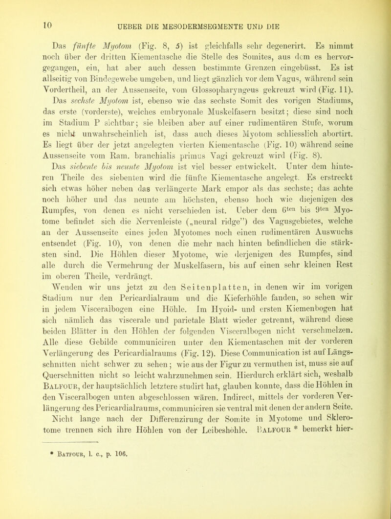 Das fünfte Myotom (Fig. 8, 5) ist gleichfalls sehr degenerirt. Es nimmt noch über der dritten Kiementasche die Stelle des Somites, aus dem es hervor- gegangen, ein, hat aber auch dessen bestimmte Grenzen eingebüsst. Es ist allseitig von Bindegewebe umgeben, und liegt gänzlich vor dem Yagus, während sein Yordertheil, an der Aussenseite, vom Glossopharyngeus gekreuzt wird (Fig. 11). Das sechste Myotom ist, ebenso wie das sechste Somit des vorigen Stadiums, das erste (vorderste), welches embryonale Muskelfasern besitzt; diese sind noch im Stadium P sichtbar; sie bleiben aber auf einer rudimentären Stufe, worum es nicht unwahrscheinlich ist, dass auch dieses Myotom schliesslich abortirt. Es liegt über der jetzt angelegten vierten Kiementasche (Fig. 10) während seine Aussenseite vom Ram. branchialis primus Yagi gekreuzt wird (Fig. 8). Das siebente bis neunte Myotom ist viel besser entwickelt. Unter dem hinte- ren Theile des siebenten wird die fünfte Kiementasche angelegt. Es erstreckt sich etwas höher neben das verlängerte Mark empor als das sechste; das achte noch höher und das neunte am höchsten, ebenso hoch wie diejenigen des Rumpfes, von denen es nicht verschieden ist. Ueber dem 6ten bis 9ten Myo- tonie befindet sich die Nervenleiste („neural ridge”) des Yagusgebietes, welche an der Aussenseite eines jeden Myotomes noch einen rudimentären Auswuchs entsendet (Fig. 10), von denen die mehr nach hinten befindlichen die stärk- sten sind. Die Höhlen dieser Myotome, wie derjenigen des Rumpfes, sind alle durch die Yermehrung der Muskelfasern, bis auf einen sehr kleinen Rest im oberen Theile, verdrängt. Wenden wir uns jetzt zu den Seitenplatten, in denen wir im vorigen Stadium nur den Pericardialraum und die Kieferhöhle fanden, so sehen wir in jedem Yisceralbogen eine Höhle. Im Hyoid- und ersten Kiemenbogen hat sich nämlich das viscerale und parietale Blatt wieder getrennt, während diese beiden Blätter in den Höhlen der folgenden Yisceralbogen nicht verschmelzen. Alle diese Gebilde communiciren unter den Kiementaschen mit der vorderen Yerlängerung des Pericardialraums (Fig. 12). Diese Communication ist auf Längs- schnitten nicht schwer zu sehen; wie aus der Figur zu vermuthen ist, muss sie auf Querschnitten nicht so leicht wahrzunehmen sein. Hierdurch erklärt sich, weshalb Balfour, der hauptsächlich letztere studirt hat, glauben konnte, dass die Höhlen in den Yisceralbogen unten abgeschlossen wären. Indirect, mittels der vorderen Yer- längerung des Pericardialraums, communiciren sie ventral mit denen der andern Seite. Nicht lange nach der Differenzirung der Somite in Myotome und Sklero- tome trennen sich ihre Höhlen von der Leibeshöhle. Balfour * bemerkt hier- * Battotje, 1. c., p. 106.