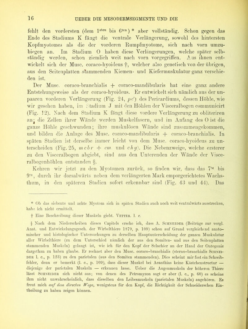 fehlt den vordersten (dem lsten bis 6ten) * * * § aber vollständig. Schon gegen das Ende des Stadiums K fängt die ventrale Verlängerung, sowohl des hintersten Kopfmyotomes als die der vorderen Rumpfmyotome, sich nach vorn umzu- biegen an. Im Stadium 0 haben diese Verlängerungen, welche später selb- ständig werden, schon ziemlich weit nach vorn vorgegriffen. Aus ihnen ent- wickelt sich der Muse, coraco-hyoideus f, welcher also genetisch von der übrigen, aus den Seitenplatten stammenden Kiemen- und Kiefermuskulatur ganz verschie- den ist. Der Muse, coraco-branchialis •+■ coraco-mandibularis hat eine ganz andere Entstehungsweise als der coraco-hyoideus. Er entwickelt sich nämlich aus der un- paaren vorderen Verlängerung (Eig. 24, pc') des Pericardiums, dessen Höhle, wie wir gesehen haben, im Stadium J mit den Höhlen der Visceralbogen communicirt (Fig. 12). Nach dem Stadium K fängt diese vordere Verlängerung zu obliteriren an- die Zellen ihrer Wände werden Muskelfasern, und im Anfang des 0 ist die ganze Höhle geschwunden; ihre muskulösen Wände sind zusammengekommen, und bilden die Anlage des Muse, coraco-mandibularis -}- coraco-branchialis. In späten Stadien ist derselbe immer leicht von dem Muse, coraco-hyoideus zu un- terscheiden (Fig. 25, mehr + cm■. und chy). Die Nebenzweige, welche ersterer zu den Visceralbogen abgiebt, sind aus den Unterenden der Wände der Visce- ralbogenhöhlen entstanden §. Kehren wir jetzt zu den Myotomen zurück, so finden wir, dass das 7te bis 9te, durch ihr dorsalwärts neben dem verlängerten Mark emporgerichtetes Wachs- thum, in den späteren Stadien sofort erkennbar sind (Fig. 43 und 44). Das * Ob das siebente und achte Myotom sich in späten Stadien auch noch weit ventralwärts ausstrecken, habe ich nicht ermittelt. f Eine Beschreibung dieser Muskeln giebt. Vetter. 1. c. § Nach dem Niederscheiben dieses Capitels ersehe ich, dass A. Schneider (Beiträge zur vergl. Anat. und Entwickelungsgesch. der Wirbelthiere 1879, p. 109) schon auf Grund vergleichend anato- mischer und histologischer Untersuchungen zu derselben Hauptunterscheidung der ganzen Muskulatur aller Wirbelthiere (zu dem Unterschied nämlich der aus den Somiten- und aus den Seitenplatten stammenden Muskeln) gelangt ist, wie ich für den Kopf der Selachier an der Hand der Ontogenie dargethan zu haben glaube. Er rechnet aber den Muse, coraco-branchialis (sterno-branchialis Schnei- ' der 1. c., p. 128) zu den parietalen (aus den Somiten stammenden). Dies scheint mir fast ein Schreib- fehler, denn er bemerkt (1. c., p. 109), dass dieser Muskel bei Acanthias keine Kästchenstructur — diejenige der parietalen Muskeln — erkennen lasse. Ueber die Augenmuskeln der höheren Thiere lässt Schneider sich nicht aus; von denen des Petromyzon sagt er aber (1. c., p. 60) es scheine ihm nicht unwahrscheinlich, dass dieselben den Leibesmuskeln (parietalen Muskeln) angehören. Es freut mich auf dem directen Wege, wenigstens für den Kopf, die Richtigkeit der Schneiderschen Ein- theüung zu haben zeigen können.