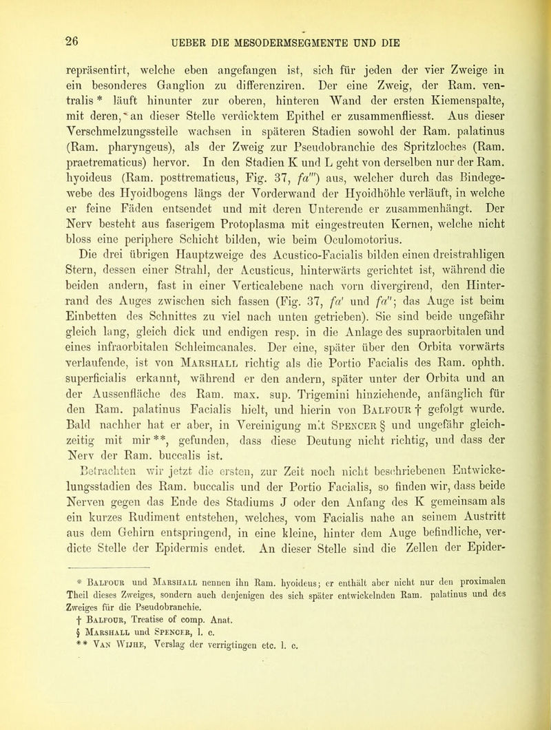 repräsentirt, welche eben angefangen ist, sich für jeden der vier Zweige in ein besonderes Ganglion zu differenziren. Der eine Zweig, der Ram. ven- tralis * * * § läuft hinunter zur oberen, hinteren Wand der ersten Kiemenspalte, mit deren,'an dieser Stelle verdicktem Epithel er zusammenfliesst. Aus dieser Verschmelzungsstelle wachsen in späteren Stadien sowohl der Ram. palatinus (Ram. pharyngeus), als der Zweig zur Pseudobranchie des Spritzloches (Ram. praetrematicus) hervor. In den Stadien K und L geht von derselben nur der Ram. hyoideus (Ram. posttrematicus, Fig. 37, fa') aus, welcher durch das Bindege- webe des Hyoidbogens längs der Vorderwand der Hyoidhöhle verläuft, in welche er feine Fäden entsendet und mit deren Unterende er zusammenhängt. Der Nerv besteht aus faserigem Protoplasma mit eingestreuten Kernen, welche nicht bloss eine periphere Schicht bilden, wie beim Oculomotorius. Die drei übrigen Hauptzweige des Acustico-Facialis bilden einen dreistrahligen Stern, dessen einer Strahl, der Acusticus. hinterwärts gerichtet ist, während die beiden andern, fast in einer Verticalebene nach vorn divergirend, den Hinter- rand des Auges zwischen sich fassen (Fig. 37, fa' und fa- das Auge ist beim Einbetten des Schnittes zu viel nach unten getrieben). Sie sind beide ungefähr gleich lang, gleich dick und endigen resp. in die Anlage des supraorbitalen und eines infraorbitalen Schleimcanales. Der eine, später über den Orbita vorwärts verlaufende, ist von Marshall richtig als die Portio Facialis des Ram. ophth. superficialis erkannt, während er den andern, später unter der Orbita und an der Aussenfläche des Ram. max. sup. Trigemini hinziehende, anfänglich für den Ram. palatinus Facialis hielt, und hierin vou Balfour f gefolgt wurde. Bald nachher hat er aber, in Vereinigung mit Spencer § und ungefähr gleich- zeitig mit mir**, gefunden, dass diese Deutung nicht richtig, und dass der Nerv der Ram. buccalis ist. Betrachten wir jetzt die ersten, zur Zeit noch nicht beschriebenen Entwicke- lungsstadien des Ram. buccalis und der Portio Facialis, so finden wir, dass beide Nerven gegen das Ende des Stadiums J oder den Anfang des K gemeinsam als ein kurzes Rudiment entstehen, welches, vom Facialis nahe an seinem Austritt aus dem Gehirn entspringend, in eine kleine, hinter dem Auge befindliche, ver- dicte Stelle der Epidermis endet. An dieser Stelle sind die Zellen der Epider- * Balfoür und Marshall nennen ihn Ram. hyoideus; er enthält aber nicht nur den proximalen Theil dieses Zweiges, sondern auch denjenigen des sich später entwickelnden Ram. palatinus und des Zweiges für die Pseudobranchie. f Balfour, Treatise of comp. Anat. § Marshall und Spencer, 1. c. ** Van Wijhe, Verslag der verrigtingen etc. 1. c.