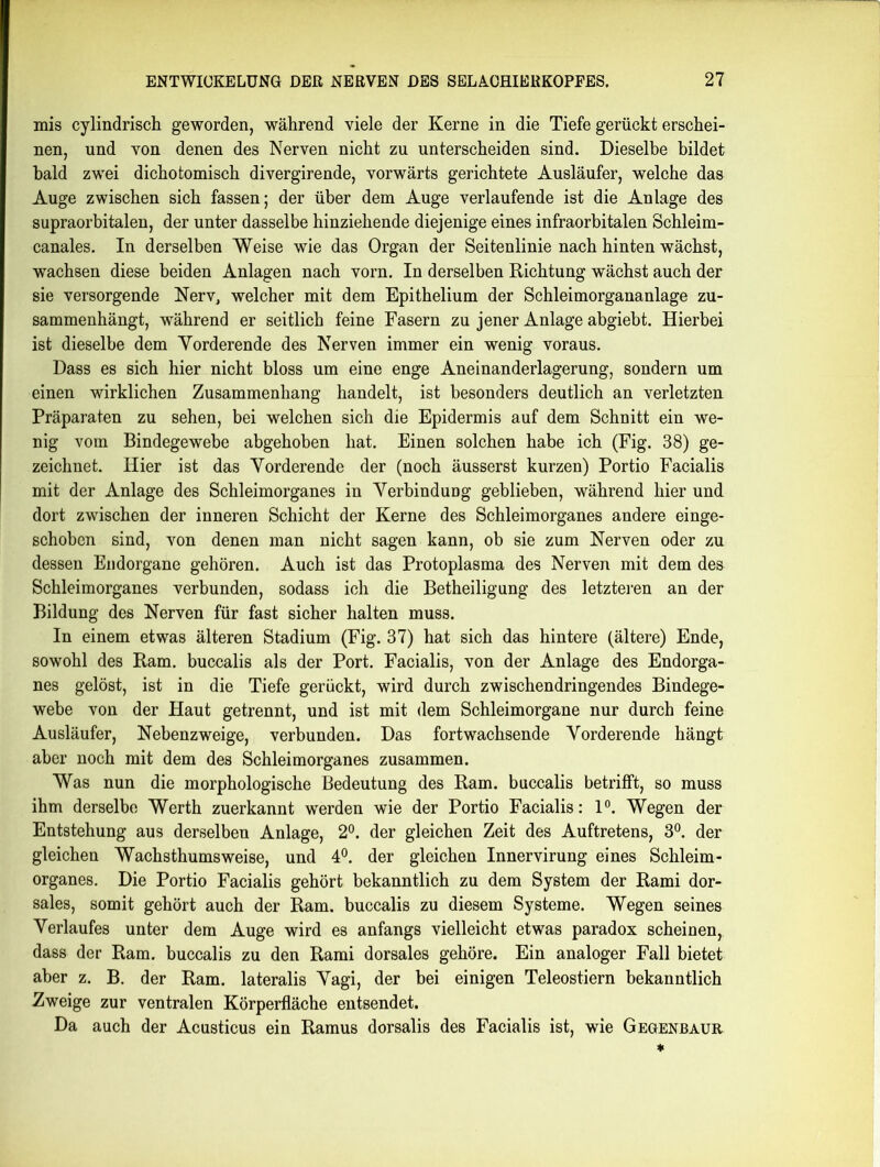 mis cylindrisch geworden, während viele der Kerne in die Tiefe gerückt erschei- nen, und von denen des Nerven nicht zu unterscheiden sind. Dieselbe bildet bald zwei dichotomisch divergirende, vorwärts gerichtete Ausläufer, welche das Auge zwischen sich fassen; der über dem Auge verlaufende ist die Anlage des supraorbitalen, der unter dasselbe hinziehende diejenige eines infraorbitalen Schleim- canales. In derselben Weise wie das Organ der Seitenlinie nach hinten wächst, wachsen diese beiden Anlagen nach vorn. In derselben Richtung wächst auch der sie versorgende Nerv, welcher mit dem Epithelium der Schleimorgananlage zu- sammenhängt, während er seitlich feine Fasern zu jener Anlage abgiebt. Hierbei ist dieselbe dem Yorderende des Nerven immer ein wenig voraus. Dass es sich hier nicht bloss um eine enge Aneinanderlagerung, sondern um einen wirklichen Zusammenhang handelt, ist besonders deutlich an verletzten Präparaten zu sehen, bei welchen sich die Epidermis auf dem Schnitt ein we- nig vom Bindegewebe abgehoben hat. Einen solchen habe ich (Fig. 38) ge- zeichnet. Hier ist das Yorderende der (noch äusserst kurzen) Portio Facialis mit der Anlage des Schleimorganes in Yerbindung geblieben, während hier und dort zwischen der inneren Schicht der Kerne des Schleimorganes andere einge- schoben sind, von denen man nicht sagen kann, ob sie zum Nerven oder zu dessen Endorgane gehören. Auch ist das Protoplasma des Nerven mit dem des Schleimorganes verbunden, sodass ich die Betheiligung des letzteren an der Bildung des Nerven für fast sicher halten muss. In einem etwas älteren Stadium (Fig. 37) hat sich das hintere (ältere) Ende, sowohl des Ram. buccalis als der Port. Facialis, von der Anlage des Endorga- nes gelöst, ist in die Tiefe gerückt, wird durch zwischendringendes Bindege- webe von der Haut getrennt, und ist mit dem Schleimorgane nur durch feine Ausläufer, Nebenzweige, verbunden. Das fortwachsende Yorderende hängt aber noch mit dem des Schleimorganes zusammen. Was nun die morphologische Bedeutung des Ram. buccalis betrifft, so muss ihm derselbe Werth zuerkannt werden wie der Portio Facialis: 1°. Wegen der Entstehung aus derselben Anlage, 2°. der gleichen Zeit des Auftretens, 3°. der gleichen Wachsthums weise, und 4°. der gleichen Innervirung eines Schleim- organes. Die Portio Facialis gehört bekanntlich zu dem System der Rami dor- sales, somit gehört auch der Ram. buccalis zu diesem Systeme. Wegen seines Yerlaufes unter dem Auge wird es anfangs vielleicht etwas paradox scheinen, dass der Ram. buccalis zu den Rami dorsales gehöre. Ein analoger Fall bietet aber z. B. der Ram. lateralis Yagi, der bei einigen Teleostiern bekanntlich Zweige zur ventralen Körperfläche entsendet. Da auch der Acusticus ein Ramus dorsalis des Facialis ist, wie Gegenbaur