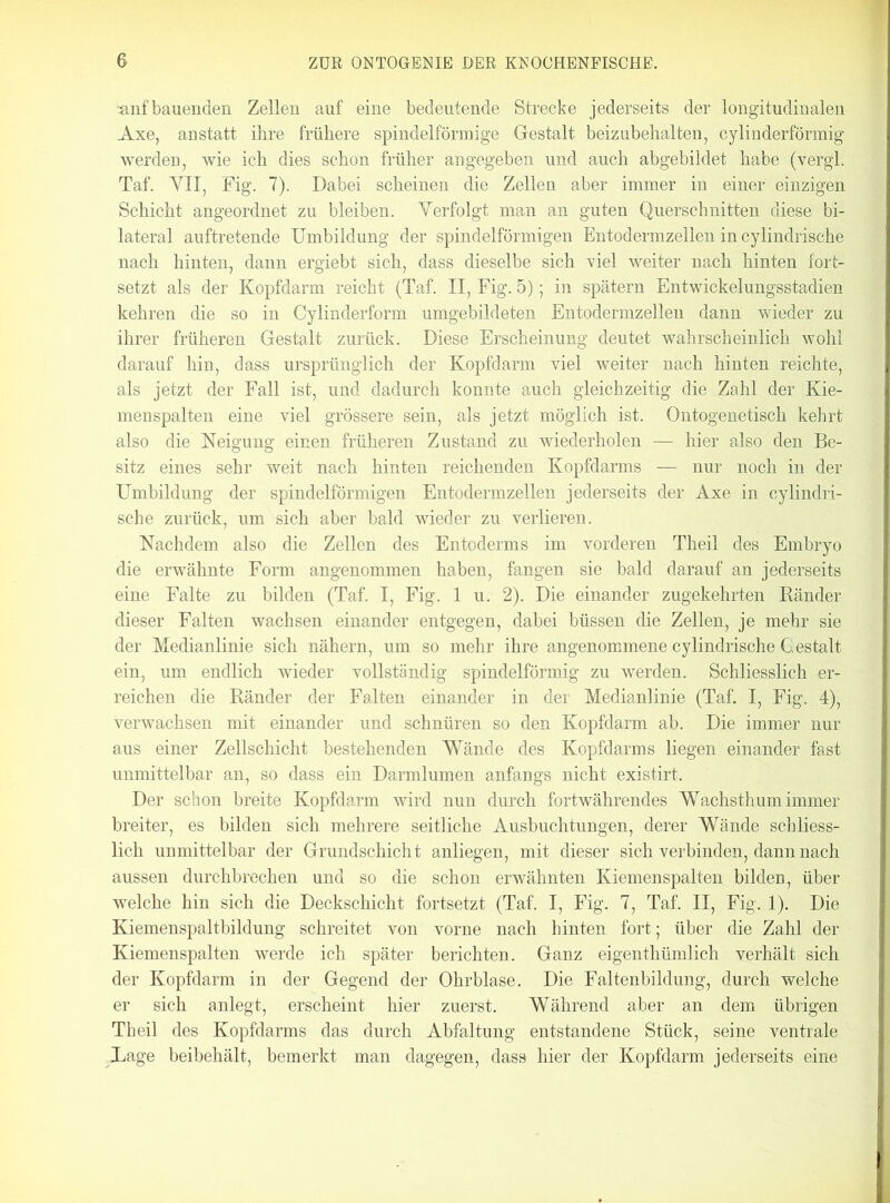 snf bauenden Zellen auf eine bedeutende Strecke jederseits der longitudinalen Axe, austatt ihre frühere spindelförmige Gestalt beizubehalten, cylinderförmig werden, wie ich dies schon früher angegeben und auch abgebildet habe (vergl. Taf. YII, Fig. 7). Dabei scheinen die Zellen aber immer in einer einzigen Schicht angeordnet zu bleiben. Verfolgt man an guten Querschnitten diese bi- lateral auftretende Umbildung der spindelförmigen Entodermzellen in cylindrische nach hinten, dann ergiebt sich, dass dieselbe sich viel weiter nach hinten fort- setzt als der Kopfdarm reicht (Taf. II, Fig. 5); in spätem Entwickelungsstadien kehren die so in Cylinderform umgebildeten Entodermzellen dann wieder zu ihrer früheren Gestalt zurück. Diese Erscheinung deutet wahrscheinlich wohl darauf hin, dass ursprünglich der Kopfdarm viel weiter nach hinten reichte, als jetzt der Fall ist, und dadurch konnte auch gleichzeitig die Zahl der Kie- menspalten eine viel grössere sein, als jetzt möglich ist. Ontogenetisch kehrt also die Neigung einen früheren Zustand zu wiederholen — hier also den Be- sitz eines sehr weit nach hinten reichenden Kopfdarms — nur noch in der Umbildung der spindelförmigen Entodermzellen jederseits der Axe in cylindri- sche zurück, um sich aber bald wieder zu verlieren. Nachdem also die Zellen des Entoderms im vorderen Theil des Embryo die erwähnte Form angenommen haben, fangen sie bald darauf an jederseits eine Falte zu bilden (Taf. I, Fig. 1 u. 2). Die einander zugekehrten Ränder dieser Falten wachsen einander entgegen, dabei büssen die Zellen, je mehr sie der Medianlinie sich nähern, um so mehr ihre angenommene cylindrische Gestalt ein, um endlich wieder vollständig spindelförmig zu werden. Schliesslich er- reichen die Ränder der Falten einander in der Medianlinie (Taf. I, Fig. 4), verwachsen mit einander und schnüren so den Kopfdarm ab. Die immer nur aus einer Zellschicht bestehenden Wände des Kopfdarms liegen einander fast unmittelbar an, so dass ein Darmlumen anfangs nicht existirt. Der schon breite Kopfdarm wird nun durch fortwährendes Wachsthum immer breiter, es bilden sich mehrere seitliche Ausbuchtungen, derer Wände schliess- lich unmittelbar der Grundschicht anliegen, mit dieser sich verbinden, dann nach aussen durchbrechen und so die schon erwähnten Kiemenspalten bilden, über welche hin sich die Deckschicht fortsetzt (Taf. I, Fig. 7, Taf. II, Fig. 1). Die Kiemenspaltbildung schreitet von vorne nach hinten fort; über die Zahl der Kiemenspalten werde ich später berichten. Ganz eigenthümlich verhält sich der Kopfdarm in der Gegend der Ohrblase. Die Faltenbildung, durch welche er sich anlegt, erscheint hier zuerst. Während aber an dem übrigen Theil des Kopfdarms das durch Abfaltung entstandene Stück, seine ventrale Xage beibehält, bemerkt man dagegen, dass hier der Kopfdarm jederseits eine