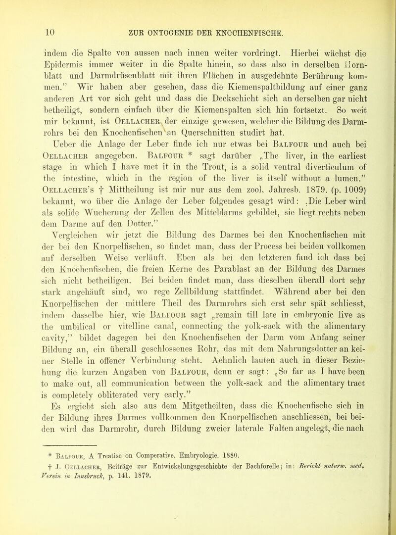 indem die Spalte von aussen nach innen weiter vordringt. Hierbei wächst die Epidermis immer weiter in die Spalte hinein, so dass also in derselben Horn- blatt und Darmdrüsenblatt mit ihren Flächen in ausgedehnte Berührung kom- men.” Wir haben aber gesehen, dass die Kiemenspaltbildung auf einer ganz anderen Art vor sich geht und dass die Deckschicht sich an derselben gar nicht betheiligt, sondern einfach über die Kiemenspalten sich hin fortsetzt. So weit mir bekannt, ist Oellacher. der einzige gewesen, welcher die Bildung des Darm- rohrs bei den Knochenfischen'an Querschnitten studirt hat. Ueber die Anlage der Leber finde ich nur etwas bei Balfour und auch bei Oellacher angegeben. Balfour * sagt darüber „The liver, in the earliest stage in which I have met it in the Trout, is a solid ventral diverticulum of the intestine, which in the region of the liver is itself without a lumen.” Oellacher’s f Mittheilung ist mir nur aus dem zool. Jahresb. 1879. (p. 1009) bekannt, wo über die Anlage der Leber folgendes gesagt wird: .Die Leber wird als solide Wucherung der Zellen des Mitteldarms gebildet, sie liegt rechts neben dem Darme auf den Dotter.” Vergleichen wir jetzt die Bildung des Darmes bei den Knochenfischen mit der bei den Knorpelfischen, so findet man, dass der Process hei beiden vollkomen auf derselben Weise verläuft. Eben als bei den letzteren fand ich dass bei den Knochenfischen, die freien Kerne des Parablast an der Bildung des Darmes sich nicht betheiligen. Bei beiden findet man, dass dieselben überall dort sehr stark angehäuft sind, wo rege Zellbildung stattfindet. Während aber bei den Knorpelfischen der mittlere Theil des Darmrohrs sich erst sehr spät schliesst, indem dasselbe hier, wie Balfour sagt „remain tili late in embryonic live as the umbilical or vitelline canal, connecting the yolk-sack with the alimentary cavity,” bildet dagegen bei den Knochenfischen der Darm vom Anfang seiner Bildung an, ein überall geschlossenes Rohr, das mit dem Nahrungsdotter an kei- ner Stelle in offener Verbindung steht. Aehnlich lauten auch in dieser Bezie- hung die kurzen Angaben von Balfour, denn er sagt: „So far as I have been to make out, all communication between the yolk-sack and the alimentary tract is completely obliterated very early.” Es ergiebt sich also aus dem Mitgetheilten, dass die Knochenfische sich in der Bildung ihres Darmes vollkommen den Knorpelfischen anschliessen, bei bei- den wird das Darmrohr, durch Bildung zweier laterale Falten angelegt, die nach * Balfour, A Treatise on Comperative. Embryologie. 1880. f J. Oellacher, Beiträge zur Entwickelungsgeschicbte der Bachforelle; in: Bericht naturw. med. Verein in Innsbruck, p. 141. 1879.