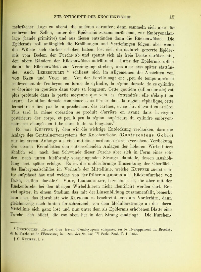 mehrfacher Lage zu oberst, die anderen darunter; dann sammeln sich aber die embryonalen Zellen, unter der Epidermis zusammenrückend, zur Embryonalan- lage (bande primitive) und aus diesen entständen dann die Rückenwülste. Die Epidermis soll anfänglich die Erhöhungen und Vertiefungen folgen, aber wenn die Wülste sich starker erhoben haben, löst sich die dadurch gezerrte Epider- mis vom Bodem der Furche ab und spannt sich als freie Decke darüber hin, den obern Rändern der Rückenwülste aufrührend. Unter der Epidermis sollen dann die Rückenwülste zur Vereinigung streben, was aber erst später stattfin- det. Auch Lereboullet * schliesst sich im Allgemeinen die Ansichten von von Baer und Vogt an. Von der Forelle sagt er: „peu de temps apres le soulövement de l’embryon en forme de cylindre, la r4gion dorsale de ce cylindre se d£prime en goutiöre dans toute sa longueur. Cette goutiere (sillon dorsale) est plus profunde dans la partie moyenne que vers les öxtremitös; eile s’elargit en avant. Le sillon dorsale commence a se fermer dans la region cöphalique, cette fermeture a lieu par le rapprochement des carönes, et se fait d’avant en arriöre. Plus tard la meine Operation se produit d’arriere en avant dans la rögion post^rieure der corps, et peu ä peu la rögion supörieure du cylindre embryon- naire est changde en tube dans toute sa longueur.” Es war Kupffer f, dem wir die wichtige Entdeckung verdanken, dass die Anlage des Centralnervensystems der Knochenfische (Gasterosteus Gobio) nur im ersten Anfänge als eine mit einer medianen Furche versehene Verdickung des oberen Keimblattes den entsprechenden Anlagen der höheren Wirbelthiere ähnlich sei; nach dem Schwunde dieser Furche aber sich in Form eines soli- den, nach unten kielformig vorspringenden Stranges darstelle, dessen Aushöh- lung erst später erfolge. Es ist die mulderförmige Einsenkung der Oberfläche des Embryonalschildes im Verlaufe der Mittellinie, welche Kupffer zuerst rich- tig aufgefasst hat und welche von der früheren Autoren als „Rückenfurche: von Baer, „sillon dorsale:” Vogt, Lereboullet, bezeichnet ist, die aber mit der Rückenlurche bei den übrigen Wirbelthieren nicht identificirt werden darf. Erst viel später, in einem Stadium das mit der Linsenbildung zusammenfällt, bemerkt man dass, das Hornblatt wie Kupffer es beschreibt, erst am Vorderhirn, dann gleichmässig nach hinten fortschreitend, von dem Medullarstrange an der obern Mittellinie sich ganz löst und nun unter dem als Epidermis erhobenen Blatte eine Furche sich bildet, die von oben her in den Strang eindringt. Die Furchen- * Lereboullet, Resume (Tun travail d’embryogenie comparee, sur le developpement du Brochet, de la Perche et de FlÜcrevisse; in: Arm. des Sc. nat. IV Serie. Zool. T. I. 1854.