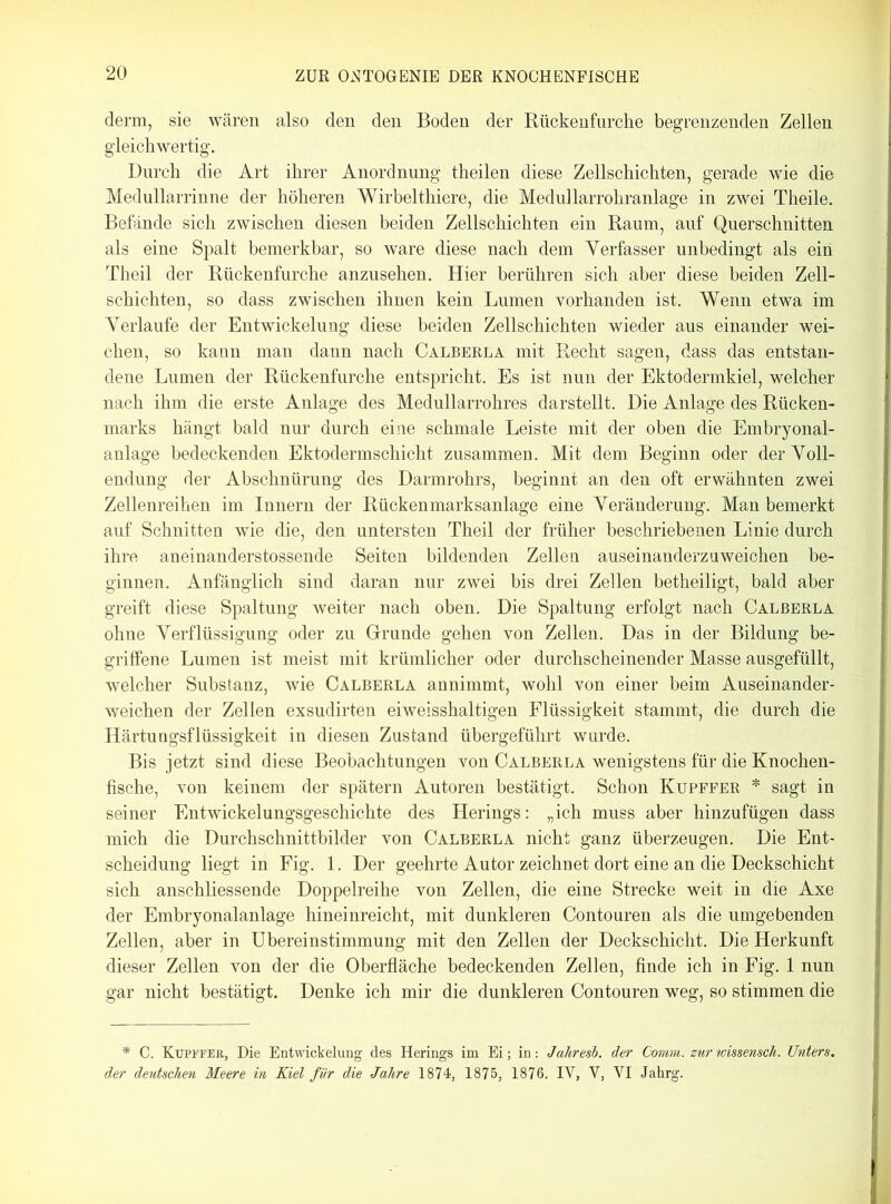 denn, sie wären also den den Boden der Rückenfurche begrenzenden Zellen gleichwertig. Durch die Art ihrer Anordnung theilen diese Zellschichten, gerade wie die Medullarrinne der höheren Wirbelthiere, die Medullarrohranlage in zwei Theile. Befände sich zwischen diesen beiden Zellschichten ein Raum, auf Querschnitten als eine Spalt bemerkbar, so wäre diese nach dem Verfasser unbedingt als ein Theil der Rückenfurche anzusehen. Hier berühren sich aber diese beiden Zell- schichten, so dass zwischen ihnen kein Lumen vorhanden ist. Wenn etwa im Verlaufe der Entwickelung diese beiden Zellschichten wieder aus einander wei- chen, so kann man dann nach Calberla mit Recht sagen, dass das entstan- dene Lumen der Rückenfurche entspricht. Es ist nun der Ektodermkiel, welcher nach ihm die erste Anlage des Medullarrohres darstellt. Die Anlage des Rücken- marks hängt bald nur durch eine schmale Leiste mit der oben die Embryonal- anlage bedeckenden Ektodermschicht zusammen. Mit dem Beginn oder der Voll- endung der Abschnürung des Darmrohrs, beginnt an den oft erwähnten zwei Zellenreihen im Innern der Rückenmarksanlage eine Veränderung. Man bemerkt auf Schnitten wie die, den untersten Theil der früher beschriebenen Linie durch ihre aneinanderstossende Seiten bildenden Zellen auseinanderzuweichen be- ginnen. Anfänglich sind daran nur zwei bis drei Zellen betheiligt, bald aber greift diese Spaltung weiter nach oben. Die Spaltung erfolgt nach Calberla ohne Verflüssigung oder zu Grunde gehen von Zellen. Das in der Bildung be- griffene Lumen ist meist mit krümlicher oder durchscheinender Masse ausgefüllt, welcher Substanz, wie Calberla annimmt, wohl von einer beim Auseinander- weichen der Zellen exsudirten eiweisshaltigen Flüssigkeit stammt, die durch die Härtuugsflüssigkeit in diesen Zustand übergeführt wurde. Bis jetzt sind diese Beobachtungen von Calberla wenigstens für die Knochen- fische, von keinem der spätem Autoren bestätigt. Schon Kupffer * sagt in seiner Entwickelungsgeschichte des Herings: „ich muss aber hinzufügen dass mich die Durchschnittbilder von Calberla nicht ganz überzeugen. Die Ent- scheidung liegt in Fig. 1. Der geehrte Autor zeichnet dort eine an die Deckschicht sich anschliessende Doppelreihe von Zellen, die eine Strecke weit in die Axe der Embryonalanlage hineinreicht, mit dunkleren Contouren als die umgebenden Zellen, aber in Übereinstimmung mit den Zellen der Deckschicht. Die Herkunft dieser Zellen von der die Oberfläche bedeckenden Zellen, finde ich in Fig. 1 nun gar nicht bestätigt. Denke ich mir die dunkleren Contouren weg, so stimmen die * C. Kupffer, Die Entwickelung des Herings im Ei; in: Jahresb. der Comm. zur wissensch. Unters. der deutschen Meere in Kiel für die Jahre 1874, 1875, 1876. IY, V, VI Jahrg.