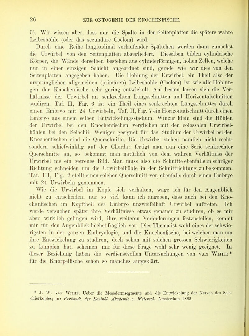 5). Wir wissen aber, dass nur die Spalte in den Seitenplatten die spätere wahre Leibeshöhle (oder das secundäre Coelom) wird. Durch eine Reihe longitudinal verlaufender Spältchen werden dann zunächst die Urwirbel von den Seitenplatten abgegliedert. Dieselben bilden cylindrische Körper, die Wände derselben bestehen aus cylinderförmigen, hohen Zellen, welche nur in einer einzigen Schicht angeordnet sind, gerade wie wir dies von den Seitenplatten angegeben haben. Die Höhlung der Urwirbel, ein Theil also der ursprünglichen allgemeinen (primären) Leibeshöhle (Coelom) ist wie alle Höhlun- gen der Knochenfische sehr gering entwickelt. Am besten lassen sich die Ver- hältnisse der Urwirbel an senkrechten Längsschnitten und Horizontalschnitten studiren. Taf. II, Fig. 6 ist ein Theil eines senkrechten Längsschnittes durch einen Embryo mit 24 Urwirbeln, Taf. II, Fig. 7 ein Horizontalschnitt durch einen Embryo aus einem selben Entwickelungsstadium. Winzig klein sind die Höhlen der Urwirbel bei den Knochenfischen verglichen mit den colossalen Urwirbel- höhlen bei den Selachii. Weniger geeignet für das Studium der Urwirbel bei den Knochenfischen sind die Querschnitte. Die Urwirbel stehen nämlich nicht recht- sondern schiefwinklig auf der Chorda; fertigt man nun eine Serie senkrechter Querschnitte an, so bekommt man natürlich von dem wahren Yerhältniss der Urwirbel nie ein getreues Bild. Man muss also die Schnitte ebenfalls in schräger Richtung schneiden um die Urwirbelhöhle in der Schnittrichtung zu bekommen. Taf. III, Fig. 2 stellt einen solchen Querschnitt vor, ebenfalls durch einen Embryo mit 24 Urwirbeln genommen. Wie die Urwirbel im Kopfe sich verhalten, wage ich für den Augenblick nicht zu entscheiden, nur so viel kann ich angeben, dass auch bei den Kno- chenfischen im Kopftheil des Embryo unzweifelhaft Urwirbel auftreten. Ich werde versuchen später ihre Verhältnisse etwas genauer zu studiren, ob es mir aber wirklich gelingen wird, ihre weiteren Veränderungen festzustellen, kommt mir für den Augenblick höchst fraglich vor. Dies Thema ist wohl eines der schwie- rigsten in der ganzen Embryologie, und die Knochenfische, bei welchen man um ihre Entwickelung zu studiren, doch schon mit solchen grossen Schwierigkeiten zu kämpfen hat, scheinen mir für diese Frage wohl sehr wenig geeignet. In dieser Beziehung haben die verdienstvollen Untersuchungen von van Wijhe * für die Knorpelfische schon so manches aufgeklärt. * J. W. van Wijhe, Ueber die Mesodermsegmente und die Entwickelung der Nerven des Sela- chierkopfes; in: Verhandl. der Koninkl. Akademie v. Wetensch. Amsterdam 1882.