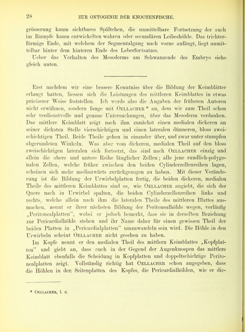 grösserung kaum sichtbares Spältchen, die unmittelbare Fortsetzung der auch im Rumpfe kaum entwickelten wahren oder secundären Leibeshöhle. Das trichter- förmige Ende, mit welchem der Segmentalgang nach vorne anfängt, liegt unmit- telbar hinter dem hinteren Ende des Leberfortsatzes. Ueber das Verhalten des Mesoderms am Schwanzende des Embryo siehe gleich unten. Erst nachdem wir eine bessere Kenntniss über die Bildung der Keimblätter erlangt hatten, Hessen sich die Leistungen des mittleren Keimblattes in etwas präciserer Weise feststellen. Ich werde also die Angaben der früheren Autoren nicht erwähnen, sondern fange mit Oellacher * an, dem wir zum Theil schon sehr verdienstvolle und genaue Untersuchungen, über das Mesoderm verdanken. Das mittlere Keimblatt zeigt nach ihm zunächst einen medialen dickeren an seiner dicksten Stelle vierschichtigen und einen lateralen dünneren, bloss zwei- schichtigen Theil. Beide Theile gehen in einander über, und zwar unter stumpfen abgerundeten Winkeln. Was aber vom dickeren, medialen Theil auf den bloss zweischichtigen lateralen sich fortsetzt, das sind nach Oellacher einzig und allein die obere und untere Reihe länglicher Zellen; alle jene rundlich-polygo- nalen Zellen, welche früher zwischen den beiden Cylinderzellenreihen lagen, scheinen sich mehr medianwärts zurückgezogen zu haben. Mit dieser Verände- rung ist die Bildung der Urwirbelplatten fertig, die beiden dickeren, medialen Theile des mittleren Keimblattes sind es, wie Oellacher angiebt, die sich der Quere nach in Urwirbel spalten, die beiden Cylinderzellenreihen links und rechts, welche allein nach ihm die lateralen Theile des mittleren Blattes aus- machen, nennt er ihrer nächsten Bildung der Peritonealhöhle wegen, vorläufig „Peritonealplatten”, wobei er jedoch bemerkt, dass sie in derselben Beziehung zur Pericardialhöhle stehen und ihr Name daher für einen gewissen Theil der beiden Platten in „Pericardialplatten” umzuwandeln sein wird. Die Höhle in den Urwirbeln scheint Oellacher nicht gesehen zu haben. Im Kopfe nennt er den medialen Theil des mittlern Keimblattes „Kopfplat- ten” und giebt an, dass auch in der Gegend der Augenknospen das mittlere Keimblatt ebenfalls die Scheidung in Kopfplatten und doppeltschichtige Perito- nealplatten zeigt. Vollständig richtig hat Oellacher schon angegeben, dass die Höhlen in den Seitenplatten des Kopfes, die Pericardialhöhlen, wie er die- * Oellacher, 1. c.