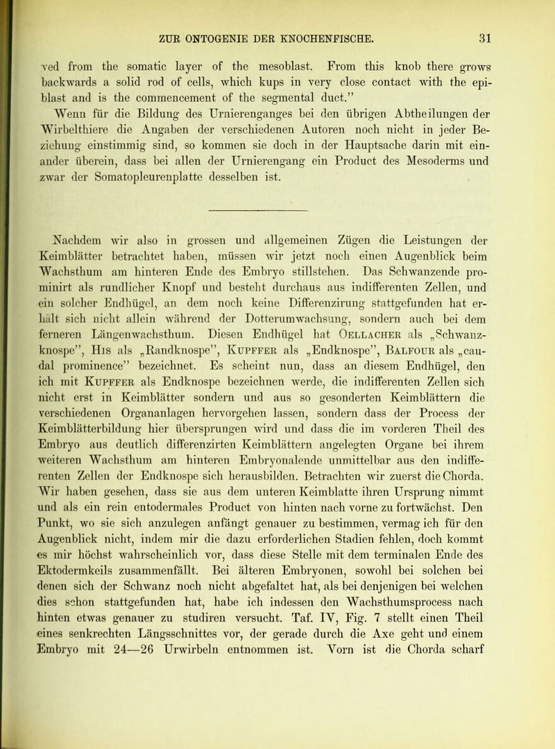 ved from the somatic layer of the mesoblast. From this knob there grows backwards a solid rod of cells, which kups in yery close contact with the epi- blast and is tbe commencement of the segmental duct.” Wenn für die Bildung des Urnierenganges bei den übrigen Abtheilungen der Wirbelthiere die Angaben der verschiedenen Autoren noch nicht in jeder Be- ziehung einstimmig sind, so kommen sie doch in der Hauptsache darin mit ein- ander überein, dass bei allen der Urnierengang ein Product des Mesoderms und zwar der Somatopleurenplatte desselben ist. Nachdem wir also in grossen und allgemeinen Zügen die Leistungen der Keimblätter betrachtet haben, müssen wir jetzt noch einen Augenblick beim Wachsthum am hinteren Ende des Embryo Stillstehen. Das Schwanzende pro- minirt als rundlicher Knopf und besteht durchaus aus indifferenten Zellen, und ein solcher Endhügel, an dem noch keine Differenzirung stattgefunden hat er- hält sich nicht allein während der Dotterumwachsung, sondern auch bei dem ferneren Längenwachsthum. Diesen Endhügel hat Oellacher als „Schwanz- knospe”, His als „Randknospe”, Kupffer als „Endknospe”, Balfour als „cau- dal prominence” bezeichnet. Es scheint nun, dass an diesem Endhügel, den ich mit Kupffer als Endknospe bezeichnen werde, die indifferenten Zellen sich nicht erst in Keimblätter sondern und aus so gesonderten Keimblättern die verschiedenen Organanlagen hervorgehen lassen, sondern dass der Process der Keimblätterbildung hier übersprungen wird und dass die im vorderen Theil des Embryo aus deutlich differenzirten Keimblättern angelegten Organe bei ihrem weiteren Wachsthum am hinteren Embryonalende unmittelbar aus den indiffe- renten Zellen der Endknospe sich herausbilden. Betrachten wir zuerst die Chorda. Wir haben gesehen, dass sie aus dem unteren Keimblatte ihren Ursprung nimmt und als ein rein entodermales Product von hinten nach vorne zu fortwächst. Den Punkt, wo sie sich anzulegen anfängt genauer zu bestimmen, vermag ich für den Augenblick nicht, indem mir die dazu erforderlichen Stadien fehlen, doch kommt ns mir höchst wahrscheinlich vor, dass diese Stelle mit dem terminalen Ende des Ektodermkeils zusammenfällt. Bei älteren Embryonen, sowohl bei solchen bei denen sich der Schwanz noch nicht abgefaltet hat, als bei denjenigen bei welchen dies schon stattgefunden hat, habe ich indessen den Wachsthumsprocess nach hinten etwas genauer zu studiren versucht. Taf. IY, Fig. 7 stellt einen Theil eines senkrechten Längsschnittes vor, der gerade durch die Axe geht und einem Embryo mit 24—26 Urwirbeln entnommen ist. Yorn ist die Chorda scharf