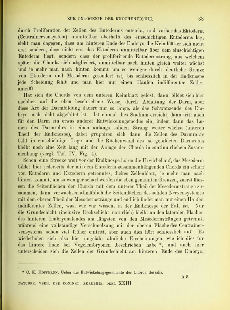 durch Proliferation der Zellen des Entoderms entsteht, und vorher das Ektoderm (Centralnervensystem) unmittelbar oberhalb des einschichtigen Entoderms lag, sieht man dagegen, dass am hinteren Ende des Embryo die Keimblätter sich nicht erst sondern, dass nicht erst das Ektoderm unmittelbar über dem einschichtigen Entoderm liegt, sondern dass der proliferirende Entodermstrang, aus welchem später die Chorda sich abgliedert, unmittelbar nach hinten gleich weiter wächst und je mehr man nach hinten kommt um so weniger durch deutliche Grenze von Ektoderm und Mesoderm gesondert ist, bis schliesslich in der Endknospe jede Scheidung fehlt und man hier nur einen Haufen indifferenter Zellen antrifft. Hat sich die Chorda von dem unteren Keimblatt gelöst, dann bildet sich hier nachher, auf die oben beschriebene Weise, durch Abfaltung der Darm, aber diese Art der Darmbildung dauert nur so lange, als das Schwanzende des Em- bryo noch nicht abgefaltet ist. Ist einmal dies Stadium erreicht, dann tritt auch für den Darm ein etwas anderer Entwickelungsmodus ein, indem dann das Lu- men des Darmrohrs in einen anfangs soliden Strang weiter wächst (unteren Theil der Endknospe), dabei gruppiren sich dann die Zellen des Darmrobrs bald in einschichtiger Lage und die Rückenwand des so gebildeten Darmrohrs bleibt noch eine Zeit lang mit der Anlage der Chorda in continuirlichem Zusam- menhang (vergl. Taf. IY, Fig. 4). Schon eine Strecke weit vor der Endknospe hören die Urwirbel auf, das Mesoderm bildet hier jederseits der mit dem Entoderm zusammenhängenden Chorda ein scharf von Entoderm und Ektoderm getrenntes, dickes Zellenblatt, je mehr man nach hinten kommt, um so weniger scharf werden die eben genannten Grenzen, zuerst flies- sen die Seitenflächen der Chorda mit dem unteren Theil der Mesodermstränge zu- sammen, dann verwachsen allmählich die Seitenflächen des soliden Nervensystemes mit dem oberen Theil der Mesodermstränge und endlich findet man nur einen Haufen indifferenter Zellen, was, wie wir wissen, in der Endknospe der Fall ist. Nur die Grundschicht (inclusive Deckschicht natürlich) bleibt an den lateralen Flächen des hinteren Embryonalendes am längsten von den Mesodermsträngen getrennt, während eine vollständige Yerschmelzung mit der oberen Fläche des Centralner- vensystems schon viel früher eintritt, aber auch dies hört schliesslich auf. Es wiederholen sich also hier ungefähr ähnliche Erscheinungen, wie ich dies für das hintere Ende bei Yogelembryonen »beschrieben habe *, und auch hier unterscheiden sich die Zellen der Grundschicht am hinteren Ende des Embryo, * C. K. Hoffmann, Ueber die Entwickelungsgeschichte der Chorda dorsalis. A 5 NATUURK. VERH. DER KONINKL. AKADEMIE. DEEL XXIII.