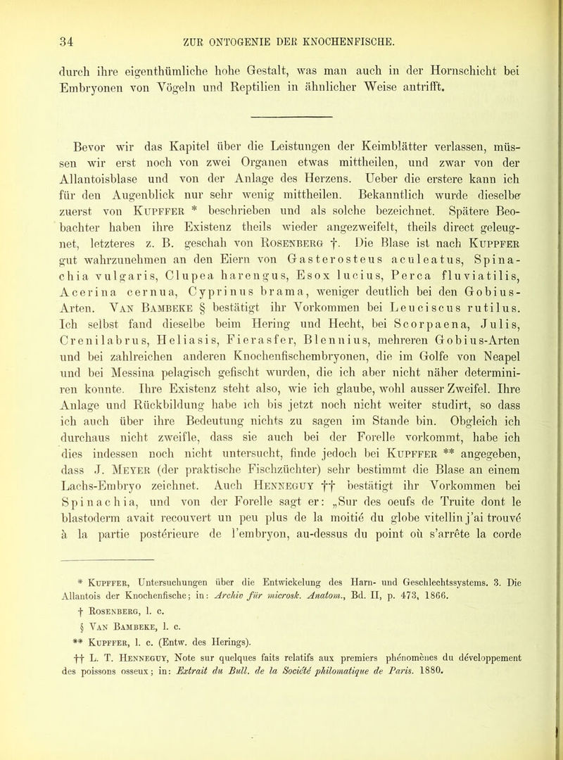 durch ihre eigenthümliche hohe Gestalt, was man auch in der Hornschicht bei Embryonen von Yögeln und Reptilien in ähnlicher Weise antrifft. Bevor wir das Kapitel über die Leistungen der Keimblätter verlassen, müs- sen wir erst noch von zwei Organen etwas mittheilen, und zwar von der Allantoisblase und von der Anlage des Herzens. Ueber die erstere kann ich für den Augenblick nur sehr wenig mittheilen. Bekanntlich wurde dieselbe zuerst von Kupffer * * * § beschrieben und als solche bezeichnet. Spätere Beo- bachter haben ihre Existenz theils wieder angezweifelt, theils direct geleug- net, letzteres z. B. geschah von Rosenberg f. Die Blase ist nach Kuppfer gut wahrzunehmen an den Eiern von Gasterosteus aculeatus, Spina - chia vulgaris, Clupea harengus, Esox lucius, Perca fluviatilis, Acerina cernua, Cyprinus brama, weniger deutlich bei den Gobius- Arten. Van Bambeke § bestätigt ihr Vorkommen bei Leuciscus rutilus. Ich selbst fand dieselbe beim Hering und Hecht, bei Scorpaena, Julis, Crenilabrus, Heliasis, Fierasfer, Blennius, mehreren Gobius-Arten und bei zahlreichen anderen Knochenfischembryonen, die im Golfe von Neapel und bei Messina pelagisch gefischt wurden, die ich aber nicht näher determini- ren konnte. Ihre Existenz steht also, wie ich glaube, wohl ausser Zweifel. Ihre Anlage und Rückbildung habe ich bis jetzt noch nicht weiter studirt, so dass ich auch über ihre Bedeutung nichts zu sagen im Stande bin. Obgleich ich durchaus nicht zweifle, dass sie auch bei der Forelle vorkommt, habe ich dies indessen noch nicht untersucht, finde jedoch bei Kupffer ** angegeben, dass J. Meyer (der praktische Fischzüchter) sehr bestimmt die Blase an einem Lachs-Embryo zeichnet. Auch Henneguy ff bestätigt ihr Vorkommen bei Spinachia, und von der Forelle sagt er: „Sur des oeufs de Truite dont le blastoderm avait recouvert un peu plus de la moitid du globe vitellin j’ai trouvd ä la partie postdrieure de l’embryon, au-dessus du point oü s’arräte la corde * Kupffer, Untersuchungen über die Entwickelung des Harn- und Geschlechtssystems. 3. Die Allantois der Knochenfische; in: Archiv für microsk. Anatom., Bd. II, p. 473, 1866. f Rosenberg, 1. c. § Van Bambeke, 1. c. ** Kupffer, 1. c. (Entw. des Herings). ff L. T. Henneguy, Note sur quelques faits relatifs aux premiers phenomenes du developpement des poissons osseux; in: Extrait du Bull, de la Societe philomatique de Paris. 1880.