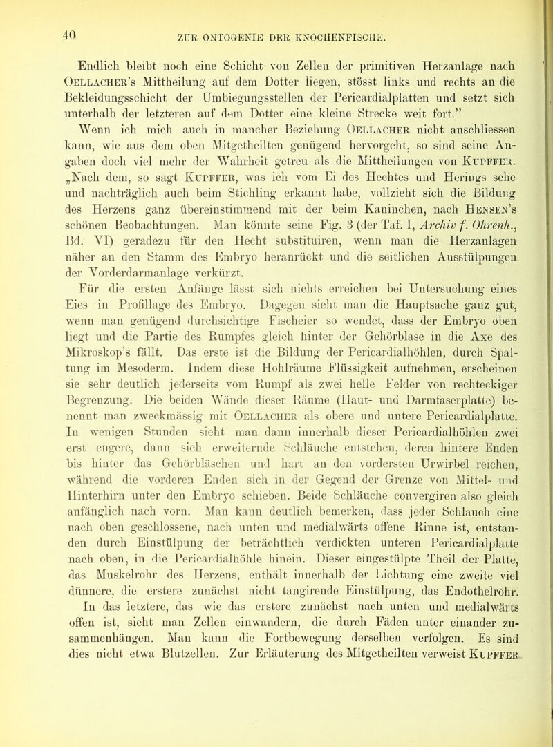 Endlich bleibt noch eine Schiebt von Zellen der primitiven Herzanlage nach Oellacher’s Mittheilung auf dem Dotter liegen, stösst links und rechts an die Bekleidungsschicht der Umbiegungsstellen der Pericardialplatten und setzt sich unterhalb der letzteren auf dem Dotter eine kleine Strecke weit fort.” Wenn ich mich auch in mancher Beziehung Oellacher nicht anschliessen kann, wie aus dem oben Mitgetheilten genügend hervorgeht, so sind seine An- gaben doch viel mehr der Wahrheit getreu als die Mittheilungen von Kupffer. „Nach dem, so sagt Kupffer, was ich vom Ei des Hechtes und Herings sehe und nachträglich auch beim Stichling erkannt habe, vollzieht sich die Bildung des Herzens ganz übereinstimmend mit der beim Kaninchen, nach Hensen’s schönen Beobachtungen. Man könnte seine Fig. 3 (der Taf. I, Archiv f. Ohrenh., Bd. YI) geradezu für den Hecht substituiren, wenn man die Herzanlagen näher an den Stamm des Embryo heranrückt und die seitlichen Ausstülpungen der Yorderdarmanlage verkürzt. Für die ersten Anfänge lässt sich nichts erreichen bei Untersuchung eines Eies in Profillage des Embryo. Dagegen sieht man die Hauptsache ganz gut, wenn man genügend durchsichtige Fischeier so wendet, dass der Embryo oben liegt und die Partie des Rumpfes gleich hinter der Gehörblase in die Axe des Mikroskop’s fällt. Das erste ist die Bildung der Pericardialhöhlen, durch Spal- tung im Mesoderm. Indem diese Hohlräume Flüssigkeit aufnehmen, erscheinen sie sehr deutlich jederseits vom Rumpf als zwei helle Felder von rechteckiger Begrenzung. Die beiden Wände dieser Räume (Haut- und Darmfaserplatte) be- nennt man zweckmässig mit Oellacher als obere und untere Pericardialplatte. In wenigen Stunden sieht man dann innerhalb dieser Pericardialhöhlen zwei erst engere, dann sich erweiternde Schläuche entstehen, deren hintere Enden bis hinter das Gehörbläschen und hart an den vordersten Urwirbel reichen, während die vorderen Enden sich in der Gegend der Grenze von Mittel- und Hinterhirn unter den Embryo schieben. Beide Schläuche convergiren also gleich anfänglich nach vorn. Man kann deutlich bemerken, dass jeder Schlauch eine nach oben geschlossene, nach unten und medialwärts offene Rinne ist, entstan- den durch Einstülpung der beträchtlich verdickten unteren Pericardialplatte nach oben, in die Pericardialhöhle hinein. Dieser eingestülpte Theil der Platte, das Muskelrohr des Herzens, enthält innerhalb der Lichtuug eine zweite viel dünnere, die erstere zunächst nicht tangirende Einstülpung, das Endothelrohr. In das letztere, das wie das erstere zunächst nach unten und medialwärts offen ist, sieht man Zellen einwandern, die durch Fäden unter einander Zu- sammenhängen. Man kann die Fortbewegung derselben verfolgen. Es sind dies nicht etwa Blutzellen. Zur Erläuterung des Mitgetheilten verweist Kupffer