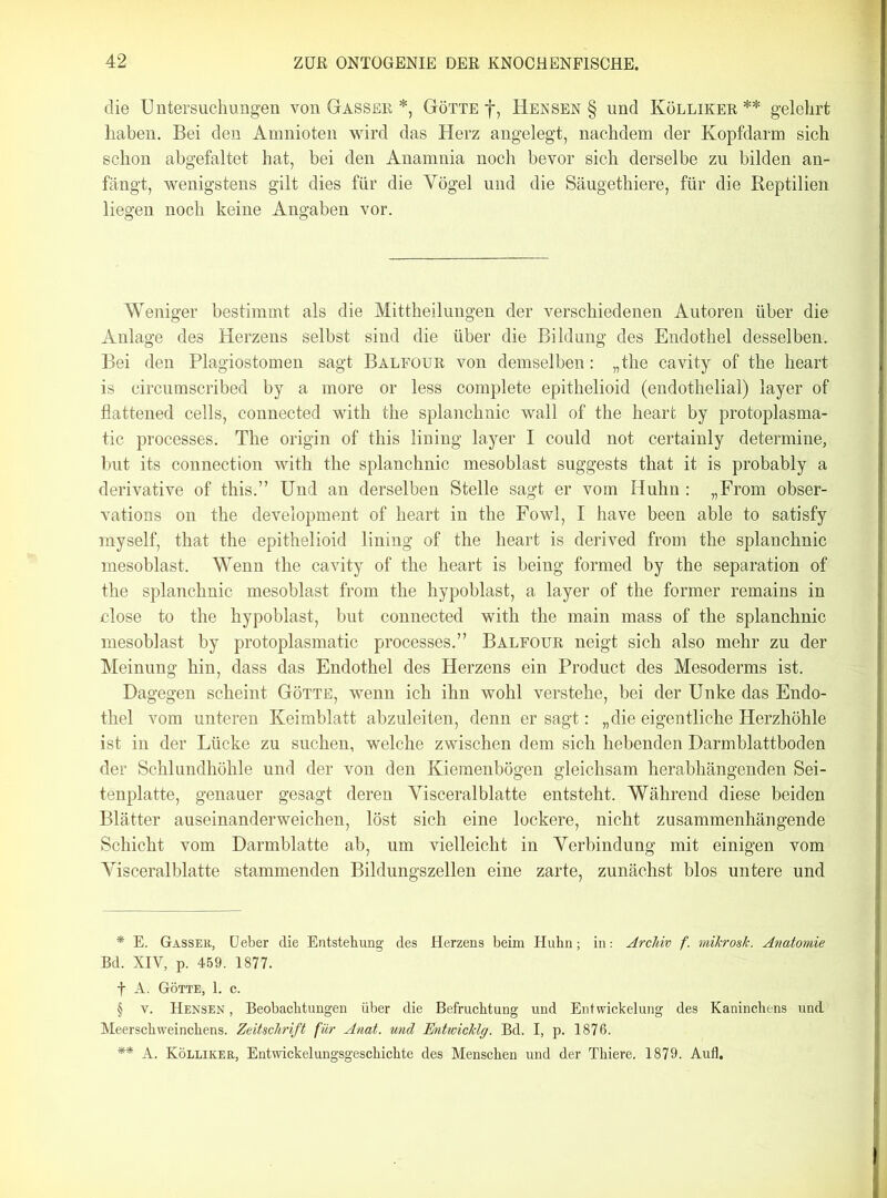 die Untersuchungen von Gasser * * * §, Götte f, Hessen ■§ und Kölliker ** gelehrt haben. Bei den Amnioten wird das Herz angelegt, nachdem der Kopfdarm sich schon abgefaltet hat, hei den Anamnia noch bevor sich derselbe zu bilden an- fängt, wenigstens gilt dies für die Yögel und die Säugethiere, für die Reptilien liegen noch keine Angaben vor. Weniger bestimmt als die Mittheilungen der verschiedenen Autoren über die Anlage des Herzens selbst sind die über die Bildung des Endothel desselben. Bei den Plagiostomen sagt Balfour von demselben: „the cavity of the heart is circumscribed by a more or less complete epithelioid (endothelial) layer of flattened cells, connected with the splanchnic wall of the heart by protoplasma- tic processes. The origin of this lining layer I could not certainly determine, but its connection with the splanchnic mesoblast suggests that it is probably a derivative of this.” Und an derselben Stelle sagt er vom Huhn : „From obser- vations on the development of heart in the Fowl, I have been able to satisfy myself, that the epithelioid lining of the heart is derived from the splanchnic mesoblast. Wenn the cavity of the heart is being formed by the Separation of the splanchnic mesoblast from the hypoblast, a layer of the former remains in close to the hypoblast, but connected with the main mass of the splanchnic mesoblast by protoplasmatic processes.” Balfour neigt sich also mehr zu der Meinung hin, dass das Endothel des Herzens ein Product des Mesoderms ist. Dagegen scheint Götte, wenn ich ihn wohl verstehe, bei der Unke das Endo- thel vom unteren Keimblatt abzuleiten, denn er sagt: „die eigentliche Herzhöhle ist in der Lücke zu suchen, welche zwischen dem sich hebenden Darmblattboden der Schlundhöhle und der von den Kiemenbögen gleichsam herabhängenden Sei- tenplatte, genauer gesagt deren Visceralblatte entsteht. Während diese beiden Blätter auseinanderweichen, löst sich eine lockere, nicht zusammenhängende Schicht vom Darmblatte ab, um vielleicht in Verbindung mit einigen vom Visceral blatte stammenden Bildungszellen eine zarte, zunächst blos untere und * E. Gasser, lieber die Entstehung des Herzens beim Huhn; in: Archiv f. mikrosk. Anatomie Bd. XIV, p. 459. 1877. f A. Götte, 1l c. § y. Hensen , Beobachtungen über die Befruchtung und Entwickelung des Kaninchens und Meerschweinchens. Zeitschrift für Amt. und Entwicklg. Bd. I, p. 1876.