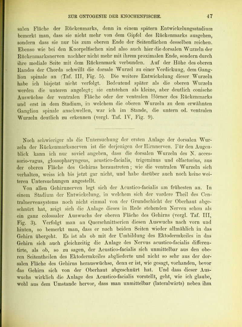 salen Fläche der Rückenmarks, denn in einem spätem Entwickelungsstadium bemerkt man, dass sie nicht mehr von dem Gipfel des Rückenmarks ausgehen, sondern dass sie nur bis zum oberen Ende der Seitenflächen desselben reichen. Ebenso wie bei den Knorpelfischen sind also auch hier die dorsalen Wurzeln der Rückenmarksnerven nachher nicht mehr mit ihrem proximalen Ende, sondern durch ihre mediale Seite mit dem Rückenmark verbunden. Auf der Höhe des oberen Randes der Chorda schwillt die dorsale Wurzel zu einer Yerdickuug, dem Gang- lion spinale an (Taf. III, Fig. 5). Die weitere Entwickelung dieser Wurzeln habe ich bisjetzt nicht verfolgt. Bedeutend später als die oberen Wurzeln werden die unteren angelegt; sie entstehen als kleine, aber deutlich conische Auswüchse der ventralen Fläche oder der ventralen Hörner des Rückenmarks und erst in dem Stadium, in welchem die oberen Wurzeln zu dem erwähnten Ganglion spinale anschwellen, war ich im Stande, die untern od. ventralen Wurzeln deutlich zu erkennen (vergl. Taf. IY, Fig. 9). Noch schwieriger als die Untersuchung der ersten Anlage der dorsalen Wur- zeln der Rückenmarksnerven ist die derjenigen der Hirnnerven. Für den Augen- blick kann ich nur soviel angeben, dass die dorsalen Wurzeln des N. acces- sorio-vagus, glossopharyngeus, acustico-facialis, trigeminus und olfactorius, aus der oberen Fläche des Gehirns heraustreten; wie die ventralen Wurzeln sich verhalten, weiss ich bis jetzt gar nicht, und habe darüber auch noch keine wei- teren Untersuchungen angestellt. Yon allen Gehirnnerven legt sich der Acustico-facialis am frühesten an. In einem Stadium der Entwickelung, in welchem sich der vordere Theil des Cen- tralnervensystems noch nicht einmal von der Grundschicht der Oberhaut abge- schnürt hat, zeigt sich die Anlage dieses in Rede stehenden Nerven schon als ein ganz colossaler Auswuchs der oberen Fläche des Gehirns (vergl. Taf. III, Fig. 3). Yerfolgt man an Querschnittserien diesen Auswuchs nach vorn und hinten, so bemerkt man, dass er nach beiden Seiten wieder allmählich in das Gehirn übergeht. Es ist als ob mit der Umbildung des Ektodermkeiles in das Gehirn sich auch gleichzeitig die Anlage des Nervus acustico-facialis differen- tirte, als ob, so zu sagen, der Acustico-facialis sich unmittelbar aus den obe- ren Seitentheilen des Ektodermkeiles abgliederte und nicht so sehr aus der dor- salen Fläche des Gehirns herauswüchse, denn er ist, wie gesagt, vorhanden, bevor das Gehirn sich von der Oberhaut abgeschnürt hat. Und dass dieser Aus- wuchs wirklich die Anlage des Acustico-facialis vorstellt, geht, wie ich glaube, wohl aus dem Umstande hervor, dass man unmittelbar (lateralwärts) neben ihm