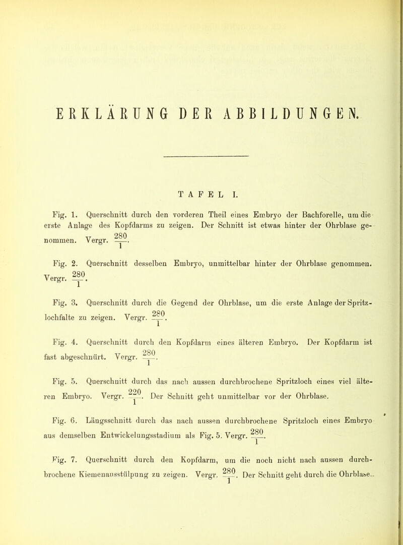 ERKLÄRUNG DER ABBILDUNGEN. TAFEL I. Fig. 1. Querschnitt durch den vorderen Theil eines Embryo der Bachforelle, um die erste Anlage des Kopfdarms zu zeigen. Der Schnitt ist etwas hinter der Ohrblase ge- v 280 nommen. V ergr. —— Fig. 2. Querschnitt desselben Embryo, unmittelbar hinter der Ohrblase genommen. Yergr. Fig. 3. Querschnitt durch die Gegend der Ohrblase, um die erste Anlage der Spritz- 280 lochfalte zu zeigen. Yergr. Fig. 4. Querschnitt durch den Kopfdarm eines älteren Embryo. Der Kopfdarm ist 280 fast abgeschnürt. Yergr. —j—. Fig. 5. Querschnitt durch das nach aussen durchbrochene Spritzloch eines viel älte- 220 ren Embryo. Yergr. Der Schnitt geht unmittelbar vor der Ohrblase. Fig. 6. Längsschnitt durch das nach aussen durchbrochene Spritzloch eines Embryo aus demselben Entwickelungsstadium als Fig. 5. Yergr. ^0. Fig. 7. Querschnitt durch den Kopfdarm, um die noch nicht nach aussen durch- 280 brochene Kiemenausstülpung zu zeigen. Yergr. Der Schnitt geht durch die Ohrblase..