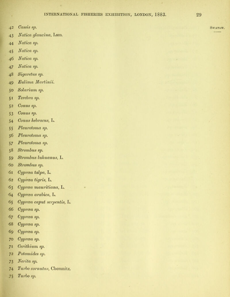 43 44 45 4 6 47 48 49 50 5i 53 54 55 56 57 58 59 6o 6i 62 63 64 65 66 67 68 69 70 71 72 73 74 75 INTERNATIONAL FISHERIES EXHIBITION, LONDON, 1883. 29 Natica glaucina, Lam. Natica sp. Natica sp. Natica sp. Natica sp. Sigaretus sp. Eulima Martinii. Solarium sp. Terebra sp. Conus sp. Conus hebracus, L. Pleurotoma sp. Pleurotoma sp. Pleurotoma sp. Strombus sp. Strombus luhuanus, L. Strombus sp. Cyprcea talpa, L. Cyprcea tigris, L. Cyprcea mauritiana, L. Cyprcea arabica, L. Cyprcea caput serpentis, L. Cyprcea sp. Cyprcea sp. Cyprcea sp. Cyprcea sp. Cyprcea sp. Cerithiu/m sp. Potamides sp. Nerita sp. Turbo cornutus, Chemnitz. Turbo sp.