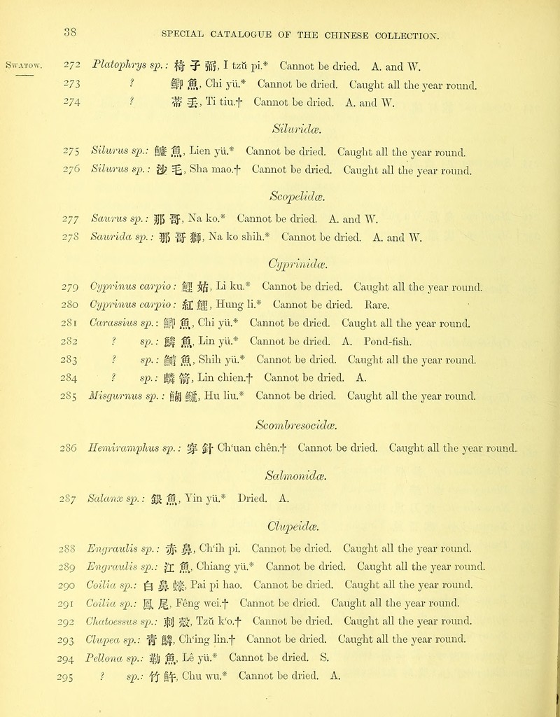 SWATOW. 272 Platophrys sp.: || 5S5, I tzfi pi.* Cannot be dried. A. and W. 273 ? IPP ,15, Chi yii.* Cannot be dried. Caught all the year round. 274 ? ^ Ti tiu.f Cannot be dried. A. and W. SiluridcB. 275 Silurus sp.: §J§ ,15, Lien yii* Cannot be dried. Caught all the year round. 276 Silurus sp.: ^, Sha mao.f Cannot be dried. Caught all the year round. Scopelidce. 277 Saurus sp.: pj[> if, Na ko.* Cannot be dried. A. and W. 278 Saurida sp.: |f) if $jp, Na ko shih.* Cannot be dried. A. and W. Cyprinidm. 279 Gyprinus carpio: $f ffa, Li ku* Cannot be dried. Caught all the year round. 280 Gyprinus carpio: &£ ,||, Hung li.* Cannot be dried. Rare. 281 Carassius sp.: Sjp ,15 , Chi yii.* Cannot be dried. Caught all the year round. 282 ? sp.: || ,15, Lin yii.* Cannot be dried. A. Pond-fish. 283 ? sp.: |i|§ ,15, Shih yii.* Cannot be dried. Caught all the year round. 284 ? sp.: |j| fjf, Lin chien.'J* Cannot be dried. A. 285 Misgurnus sp.: jlfjj 6§}f, Hu liu.* Cannot be dried. Caught all the year round. Scombresocidce. 286 Hemiramphus sp.: ClTuan chen.f- Cannot be dried. Caught all the year round. Salmonidce. 287 Scdanx sp.: 15, Yin yii.* Dried. A. Clupeidce. 288 Engraulis sp.: rfp Ch/ih pi. Cannot be dried. Caught all the year round. 289 Engraulis sp.: '/A ,15, Chiang yii.* Cannot be dried. Caught all the year round. 290 Goilia sp.: £3 $j|, Pai pi hao. Cannot be dried. Caught all the year round. 291 Goilia sp.: Jig, J§, Feng wei.-f* Cannot be dried. Caught all the year round. 292 Chatoessus sp.: jplj Tzu k‘o.f Cannot be dried. Caught all the year round. 293 Clupea sp.: pf j$f, ClTing lin.-f- Cannot be dried. Caught all the year round. 294 Pellona sp.: s$J ,15, Le yii* Cannot be dried. S. 295 ? sp.: ft Chu wu.* Cannot be dried. A.