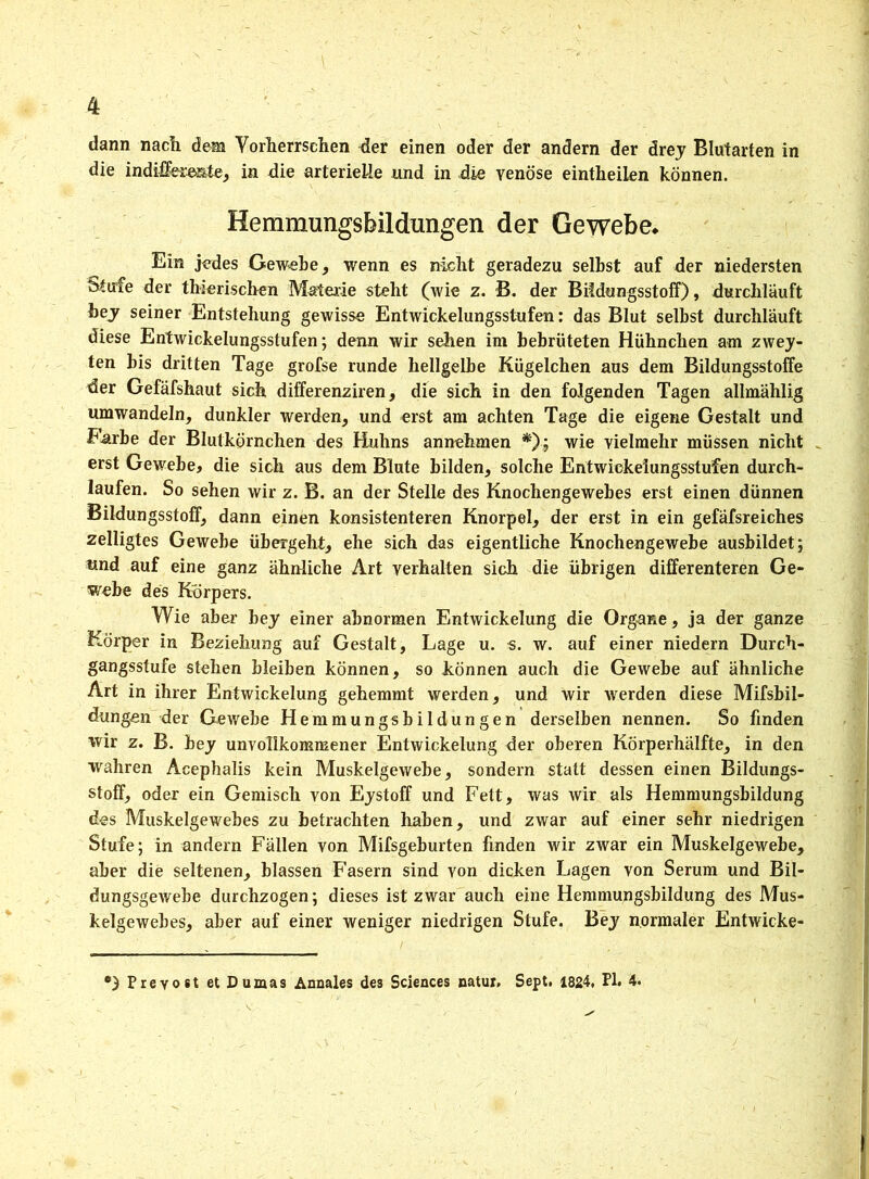 dann nach dem Vorherrschen der einen oder der andern der drey Blutarten in die indifferente, in die arterielle und in die venöse eintheilen können. Hemmungsfeildungen der Gewefee. Ein jedes Gewebe, wenn es nicht geradezu selbst auf der niedersten Stufe der thierischen Materie steht (wie z. B. der Bildungsstoff), durchläuft hey seiner Entstehung gewisse Entwickelungsstufen: das Blut selbst durchläuft diese Entwickelungsstufen; denn wir sehen im bebrüteten Hühnchen am zwei- ten bis dritten Tage grofse runde hellgelbe Kügelchen aus dem Bildungsstoffe der Gefäfshaut sich differenziren, die sich in den folgenden Tagen allmählig umwandeln, dunkler werden, und erst am achten Tage die eigene Gestalt und Farbe der Blutkörnchen des Huhns annehmen *); wie vielmehr müssen nicht erst Gewebe, die sich aus dem Blute bilden, solche Entwiekeiungsstufen durch- laufen. So sehen wir z. B. an der Stelle des Knochengewebes erst einen dünnen Bildungsstoff, dann einen konsistenteren Knorpel, der erst in ein gefäfsreiches zelligtes Gewebe übergeht, ehe sich das eigentliche Knochengewebe ausbildet; und auf eine ganz ähnliche Art verhalten sich die übrigen differenteren Ge- webe des Körpers. Wie aber bey einer abnormen Entwickelung die Organe, ja der ganze Körper in Beziehung auf Gestalt, Lage u. -s. w. auf einer niedern Durch- gangsstufe stehen bleiben können, so können auch die Gewebe auf ähnliche Art in ihrer Entwickelung gehemmt werden, und wir werden diese Mifsbil- dungen der Gewebe Hemmungsbildungen derselben nennen. So finden wir z. B. bey unvollkommener Entwickelung der oberen Körperhälfte, in den wahren Acephalis kein Muskelgewebe, sondern statt dessen einen Bildungs- stoff, oder ein Gemisch von Eystoff und Fett, was wir als Hemmungsbildung des Muskelgewebes zu betrachten haben, und zwar auf einer sehr niedrigen Stufe; in andern Fällen von Mifsgeburten finden wir zwar ein Muskelgewebe, aber die seltenen, blassen Fasern sind von dicken Lagen von Serum und Bil- dungsgewebe durchzogen; dieses ist zwar auch eine Hemmungsbildung des Mus- kelgewebes, aber auf einer weniger niedrigen Stufe. Bey normaler Entwicke- Preyost et Dumas Annales de3 Sciences natur. Sept. 1824, PI. 4.