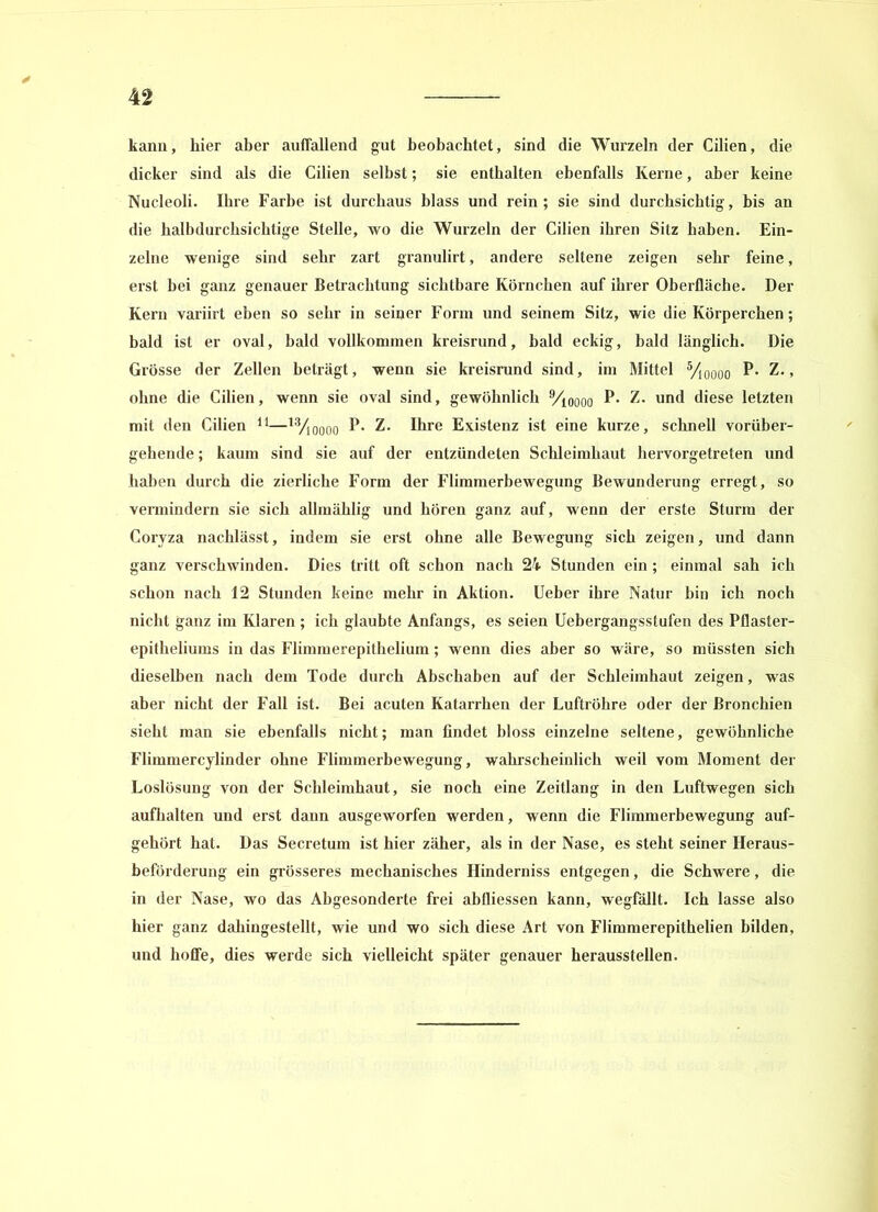 kann, hier aber auffallend gut beobachtet, sind die Wurzeln der Cilien, die dicker sind als die Cilien selbst; sie enthalten ebenfalls Kerne, aber keine Nucleoli. Ihre Farbe ist durchaus blass und rein; sie sind durchsichtig, bis an die halbdurchsichtige Stelle, wo die Wurzeln der Cilien ihren Sitz haben. Ein- zelne wenige sind sehr zart granulirt, andere seltene zeigen sehr feine, erst bei ganz genauer Betrachtung sichtbare Körnchen auf ihrer Oberfläche. Der Kern variirt eben so sehr in seiner Form und seinem Sitz, wie die Körperchen; bald ist er oval, bald vollkommen kreisrund, bald eckig, bald länglich. Die Grösse der Zellen beträgt, wenn sie kreisrund sind, im Mittel 5/10000 P* Z., ohne die Cilien, wenn sie oval sind, gewöhnlich 9/ioooo P* Z. und diese letzten mit den Cilien 11—13/ioooo P* Z. Ihre Existenz ist eine kurze, schnell vorüber- gehende ; kaum sind sie auf der entzündeten Schleimhaut hervorgetreten und haben durch die zierliche Form der Flimmerbewegung Bewunderung erregt, so vermindern sie sich allmählig und hören ganz auf, wenn der erste Sturm der Coryza nachlässt, indem sie erst ohne alle Bewegung sich zeigen, und dann ganz verschwinden. Dies tritt oft schon nach 24 Stunden ein; einmal sah ich schon nach 12 Stunden keine mehr in Aktion. Ueber ihre Natur bin ich noch nicht ganz im Klaren ; ich glaubte Anfangs, es seien Uebergangsstufen des Pflaster- epitheliums in das Flimmerepithelium; wenn dies aber so wäre, so müssten sich dieselben nach dem Tode durch Abschaben auf der Schleimhaut zeigen, was aber nicht der Fall ist. Bei acuten Katarrhen der Luftröhre oder der Bronchien sieht man sie ebenfalls nicht; man findet bloss einzelne seltene, gewöhnliche Flimmercylinder ohne Flimmerbewegung, wahrscheinlich weil vom Moment der Loslösung von der Schleimhaut, sie noch eine Zeitlang in den Luftwegen sich aufhalten und erst daun ausgeworfen werden, wenn die Flimmerbewegung auf- gehört hat. Das Secretum ist hier zäher, als in der Nase, es steht seiner Heraus- beförderung ein grösseres mechanisches Hinderniss entgegen, die Schwere, die in der Nase, wo das Abgesonderte frei abfliessen kann, wegfällt. Ich lasse also hier ganz dahingestellt, wie und wo sich diese Art von Flimmerepithelien bilden, und hoffe, dies werde sich vielleicht später genauer heraussteilen.