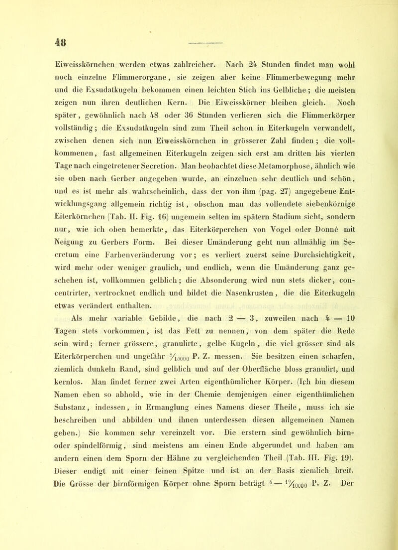Eiweisskörncken weiden etwas zahlreicher. Nach 24 Stunden findet man wohl noch einzelne Flimmerorgane, sie zeigen aber keine Flimmerbewegung mehr und die Exsudatkugeln bekommen einen leichten Stich ins Gelbliche; die meisten zeigen nun ihren deutlichen Kern. Die Eiweisskörner bleiben gleich. Noch später, gewöhnlich nach 48 oder 36 Stunden verlieren sich die Flimmerkörper vollständig; die Exsudatkugeln sind zum Theil schon in Eiterkugeln verwandelt, zwischen denen sich nun Eiweisskörnchen in grösserer Zahl finden ; die voll- kommenen, fast allgemeinen Eiterkugeln zeigen sich erst am dritten bis vierten Tage nach eingetretener Secretion. Man beobachtet diese Metamorphose, ähnlich wie sie oben nach Gerber angegeben wurde, an einzelnen sehr deutlich und schön, und es ist mehr als wahrscheinlich, dass der von ihm (pag. 27) angegebene Ent- wicklungsgang allgemein richtig ist, obschon man das vollendete siebenkörnige Eiterkörnchen (Tab. II. Fig. 16) ungemein selten im spätem Stadium sieht, sondern nur, wie ich oben bemerkte, das Eiterkörperchen von Vogel oder Donne mit Neigung zu Gerbers Form. Bei dieser Umänderung geht nun allmäklig im Se- cretum eine Farbenveränderung vor; es verliert zuerst seine Durchsichtigkeit, wird mehr oder weniger graulich, und endlich, wenn die Umänderung ganz ge- schehen ist, vollkommen gelblich; die Absonderung wird nun stets dicker, con- centrirter, vertrocknet endlich und bildet die Nasenkrusten, die die Eiterkugeln etwas verändert enthalten. Als mehr variable Gebilde, die nach 2 — 3, zuweilen nach 4 — 10 Tagen stets Vorkommen, ist das Fett zu nennen, von dem später die Rede sein wird; ferner grössere, granulirte, gelbe Kugeln, die viel grösser sind als Eiterkörperchen und ungefähr %0000 P* Z. messen. Sie besitzen einen scharfen, ziemlich dunkeln Rand, sind gelblich und auf der Oberfläche bloss granulirt, und kernlos. Man findet ferner zwei Arten eigenthümlicher Körper. (Ich bin diesem Namen eben so abhold, wie in der Chemie demjenigen einer eigenthümlichen Substanz, indessen, in Ermanglung eines Namens dieser Theile, muss ich sie beschreiben und abbilden und ihnen unterdessen diesen allgemeinen Namen geben.) Sie kommen sehr vereinzelt vor. Die erstem sind gewöhnlich birn- oder spindelförmig, sind meistens am einen Ende abgerundet und haben am andern einen dem Sporn der Hähne zu vergleichenden Theil (Tab. III. Fig. 19). Dieser endigt mit einer feinen Spitze und ist an der Basis ziemlich breit. Die Grösse der bimförmigen Körper ohne Sporn beträgt 6—^ööoo P* Z. Der