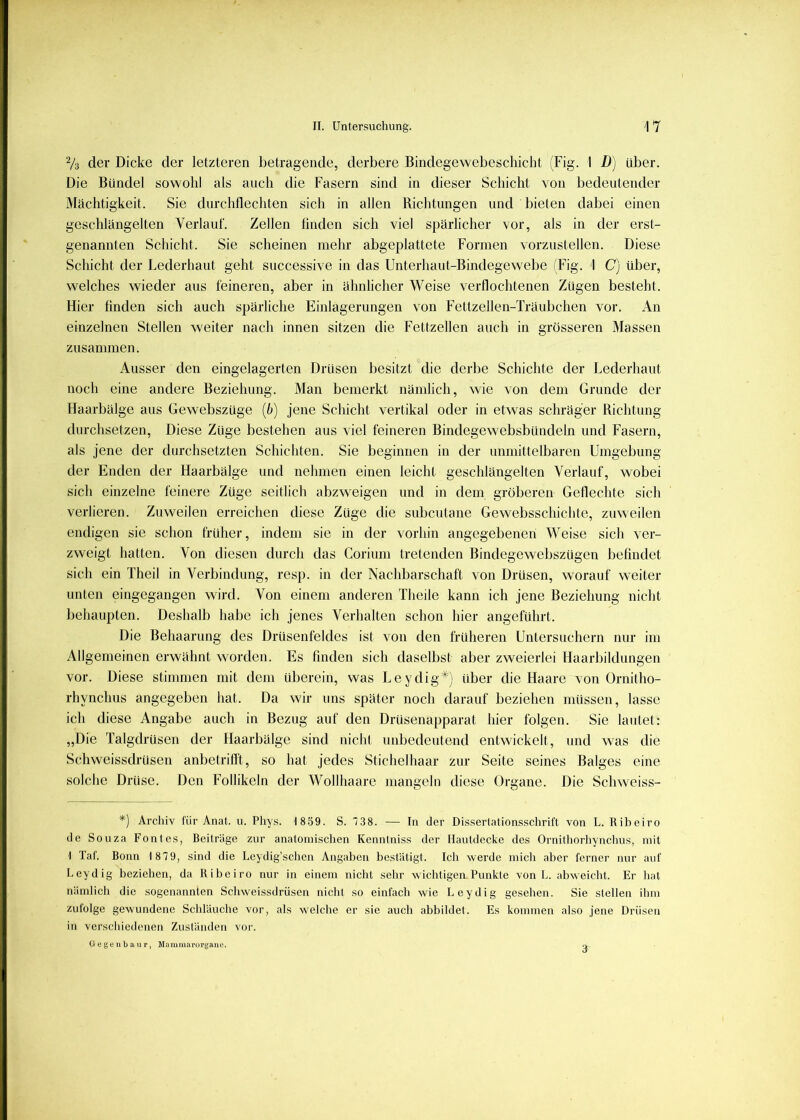 Vs der Dicke der letzteren betragende, derbere Bindegewebeschicht (Fig. 1 D) über. Die Bündel sowohl als auch die Fasern sind in dieser Schicht von bedeutender Mächtigkeit. Sie durchflechten sich in allen Richtungen und bieten dabei einen geschlängelten Verlauf. Zellen linden sich viel spärlicher vor, als in der erst- genannten Schicht. Sie scheinen mehr abgeplattete Formen vorzustellen. Diese Schicht der Lederhaut geht successive in das Unterhaut-Bindegewebe (Fig. 1 C) über, welches wieder aus feineren, aber in ähnlicher Weise verflochtenen Zügen besteht. Hier finden sich auch spärliche Einlagerungen von Fettzellen-Träubchen vor. An einzelnen Stellen weiter nach innen sitzen die Fettzellen auch in grösseren Massen zusammen. Ausser den eingelagerten Drüsen besitzt die derbe Schichte der Lederhaut noch eine andere Beziehung. Man bemerkt nämlich, wie von dem Grunde der Haarbälge aus Gewebszüge {b) jene Schicht vertikal oder in etwas schrägbr Richtung durchsetzen. Diese Züge bestehen aus viel feineren Bindegewebsbündeln und Fasern, als jene der durchsetzten Schichten. Sie beginnen in der unmittelbaren Umgebung der Enden der Haarbälge und nehmen einen leicht geschlängelten Verlauf, wobei sich einzelne feinere Züge seitlich abzweigen und in dem gröberen Gefleclite sich verlieren. Zuweilen erreichen diese Züge die subcutane Gewebsschichte, zuweilen endigen sie schon früher, indem sie in der vorhin angegebenen Weise sich ver- zweigt hatten. Von diesen durch das Corium tretenden Bindegewebszügen befindet sich ein Theil in Verbindung, resp. in der Nachbarschaft von Drüsen, worauf weiter unten eingegangen wird. Von einem anderen Theile kann ich jene Beziehung nicht behaupten. Deshalb habe ich jenes Verhalten schon hier angeführt. Die Behaarung des Drüsenfeldes ist von den früheren Untersuchern nur im Allgemeinen erwähnt worden. Es finden sich daselbst aber zweierlei Haarbildungen vor. Diese stimmen mit dem überein, was Leydig*) über die Haare von Ornitho- rhynchus angegeben hat. Da wir uns später noch darauf beziehen müssen, lasse ich diese Angabe auch in Bezug auf den Drüsenapparat hier folgen. Sie lautet: „Die Talgdrüsen der Haarbälge sind nicht unbedeutend entwickelt, und was die Schweissdrüsen anbetrifit, so hat jedes Stichelhaar zur Seite seines Balges eine solche Drüse. Den Follikeln der Wollhaare mangeln diese Organe. Die Schweiss- *) Arcliiv für Anal. u. Phys. 1 859. S. 738. — In der Disserlationssclirift von L. Ribeiro de Souza Fontes, Beiträge zur anatomischen Kenntniss der Hautdecke des Ornithorliynclius, mit 1 Taf. Bonn 1 879, sind die Leydig’sclien Angaben bestätigt. Ich werde mich aber ferner nur auf Leydig beziehen, da Ribeiro nur in einem nicht sehr wichtigen Punkte von L. abweiclit. Er hat nämlich die .sogenannten Scliweissdrüsen nicht so einfacli wie Leydig gesehen. Sie stellen ihm zufolge gewundene Schläuche vor, als welche er sie auch abbildet. Es kommen also jene Drüsen in verschiedenen Zuständen vor. Oegenbaur, Maiuraarurgaiie.