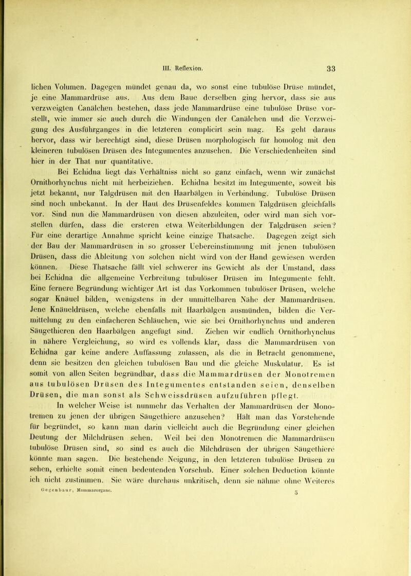 liehen Volumen. Dagegen mündet genau da, wo sonst eine tubulöse Drüse mündet, je eine Mammardrüse aus. Aus dem Baue derselben ging hervor, dass sie aus verzweigten Canälchen bestehen, dass jede Älammardrüse eine tubulöse Drüse vor- stellt, wie immer sie auch durch die Windungen der Canälchen und die Verzwei- gung des Ausführganges in die letzteren complicirt sein mag. Es geht daraus hervor, dass wir berechtigt sind, diese Drüsen morphologisch für homolog mit den kleineren tubulösen Drüsen des Integumentes anzusehen. Die Verschiedenheiten sind hier in der That nur quantitative. Bei Echidna liegt das Verhältniss nicht so ganz einfach, wenn wir zunächst Ornithorhynchus nicht mit herbeiziehen. Echidna besitzt im Integumente, soweit bis jetzt bekannt, nur Talgdrüsen mit den Haarliälgen in Verbindung. Tubulöse Drüsen sind noch unbekannt, ln der Haut des Drüsenfeldes kommen Talgdrüsen gieichlälls vor. Sind nun die Mammardrüsen von diesen abzuleiten, oder wird man sich vor- stellen dürfen, dass die ersteren etwa Weiterbildungen der Talgdrüsen seien? Für eine derartige Annahme spricht keine einzige Thatsache. Dagegen zeigt sich der Bau der Mammardrüsen in so grosser Uebereinstimmung mit jenen tubulösen Drüsen, dass die Ableitung von solchen nicht wird von der Hand gewiesen werden können. Diese Thatsache fällt viel schwerer ins Gewicht als der Umstand, dass bei Echidna die allgemeine Verbreitung tubulöser Drüsen im Integumente fehlt. Eine fernere Begründung wichtiger Art ist das Vorkommen tubulöser Drüsen, welche sogar Knäuel bilden, wenigstens in der unmittelbaren Nähe der Mammardrüsen. Jene Knäueldrüsen, welche ebenfalls mit Haarbälgen ausmünden, bilden die Ver- mittelung zu den einfacheren Schläuchen, wie sie bei Ornilhorhynchus und anderen Säugethieren den Haarbälgen angefügt sind. Ziehen wir endlich ürnithorhynchus in nähere Vergleichung, so wird es vollends klar, dass die IMammardrüsen von Echidna gar keine andere Auffassung zulassen, als die in Betracht genommene, denn sie besitzen den gleichen tubulösen Bau und die gleiche Muskulatur. Es ist somit von allen Seiten begründbar, dass die IMammardrüsen der Monotremen aus tubulösen Drüsen des Integumentes entstanden seien, denselben Drüsen, die man sonst als Schweissdrüsen aufzuführen pflegt. In welcher Weise ist nunmehr das Verhalten der Mammardrüsen der Mono- tremen zu jenen der übrigen Säugethiere anzusehen? Hält man das Vorstehende für begründet, so kann man darin vielleicht auch die Begründung einer gleichen Deutung der Milchdrüsen sehen. Weil bei den Monotremen die Mammardrüsen tubulöse Drüsen sind, so sind es auch die Milchdrüsen der übrigen Säugetluere könnte man sagen. Die bestehende Neigung, in den letzteren tubulöse Drüsen zu sehen, erhielte somit einen bedeutenden Vorschub. Einer solchen Deduction könnte ich nicht zusliinmen. Sie wäre durchaus unkritisch, denn sie nähme ohne Wc'ileres Gegen baur, Mammarorgane. 5