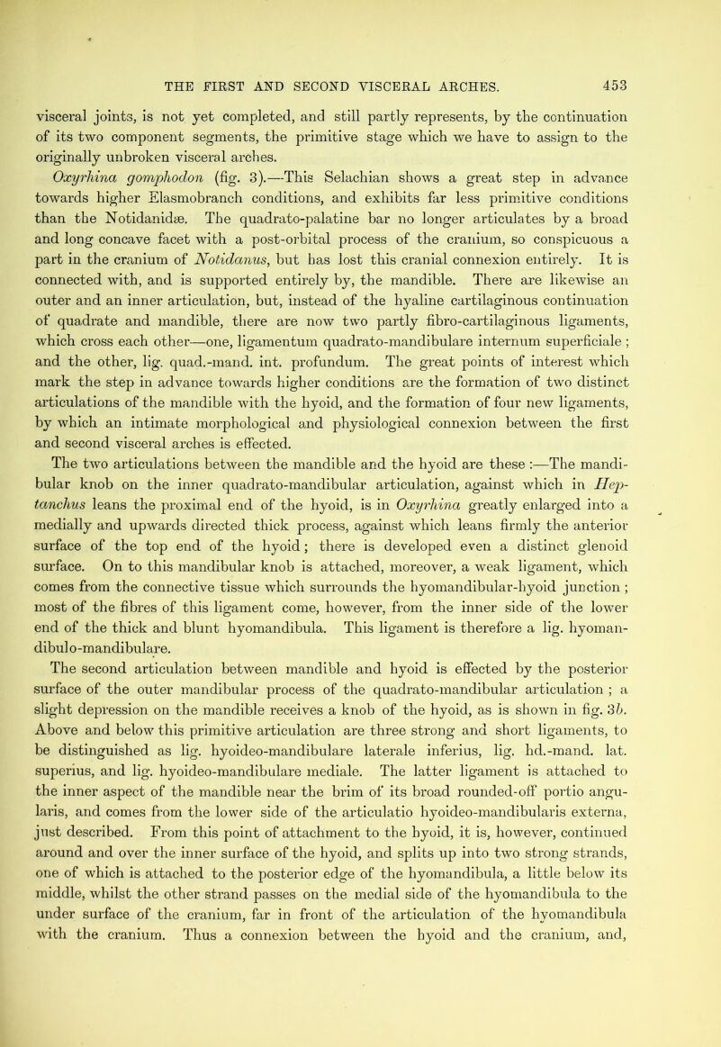 visceral joints, is not yet completed, and still partly represents, by the continuation of its two component segments, the primitive stage which we have to assign to the originally unbroken visceral arches. Oxyrhina gompliodon (fig. 3).—This Selachian shows a great step in advance towards higher Slasmobranch conditions, and exhibits far less primitive conditions than the Notidanidae. The quadrato-palatine bar no longer articulates by a broad and long concave facet with a post-orbital process of the cranium, so conspicuous a part in the cranium of Notidanus, but has lost this cranial connexion entirely. It is connected with, and is supported entirely by, the mandible. There are likewise an outer and an inner articulation, but, instead of the hyaline cartilaginous continuation of quadrate and mandible, there are now two partly fibro-cartilaginous ligaments, which cross each other—one, ligamentum quadrato-mandibulare internum superficiale ; and the other, lig. quad.-mand. int. profundum. The great points of interest which mark the step in advance towards higher conditions are the formation of two distinct articulations of the mandible with the hyoid, and the formation of four new ligaments, by which an intimate morphological and physiological connexion between the first and second visceral arches is effected. The two articulations between the mandible and the hyoid are these :—The mandi- bular knob on the inner quadrato-mandibular articulation, against which in Hep- tanchus leans the proximal end of the hyoid, is in Oxyrhina greatly enlarged into a medially and upwards directed thick process, against which leans firmly the anterior surface of the top end of the hyoid; there is developed even a distinct glenoid surface. On to this mandibular knob is attached, moreover, a weak ligament, which comes from the connective tissue which surrounds the hyomandibular-hyoid junction; most of the fibres of this ligament come, however, from the inner side of the lower end of the thick and blunt hyomandibula. This ligament is therefore a lig. hyoman- dibulo-mandibulare. The second articulation between mandible and hyoid is effected by the posterior surface of the outer mandibular process of the quadrato-mandibular articulation ; a slight depression on the mandible receives a knob of the hyoid, as is shown in fig. 36. Above and below this primitive articulation are three strong and short ligaments, to be distinguished as lig. hyoideo-mandibulare laterale inferius, lig. hd.-mand. lat. superius, and lig. hyoideo-mandibulare inediale. The latter ligament is attached to the inner aspect of the mandible near the brim of its broad rounded-off portio angu- laris, and comes from the lower side of the articulatio hyoideo-mandibularis externa, just described. From this point of attachment to the hyoid, it is, however, continued around and over the inner surface of the hyoid, and splits up into two strong strands, one of which is attached to the posterior edge of the hyomandibula, a little below its middle, whilst the other strand passes on the medial side of the hyomandibula to the under surface of the cranium, far in front of the articulation of the hyomandibula with the cranium. Thus a connexion between the hyoid and the cranium, and,