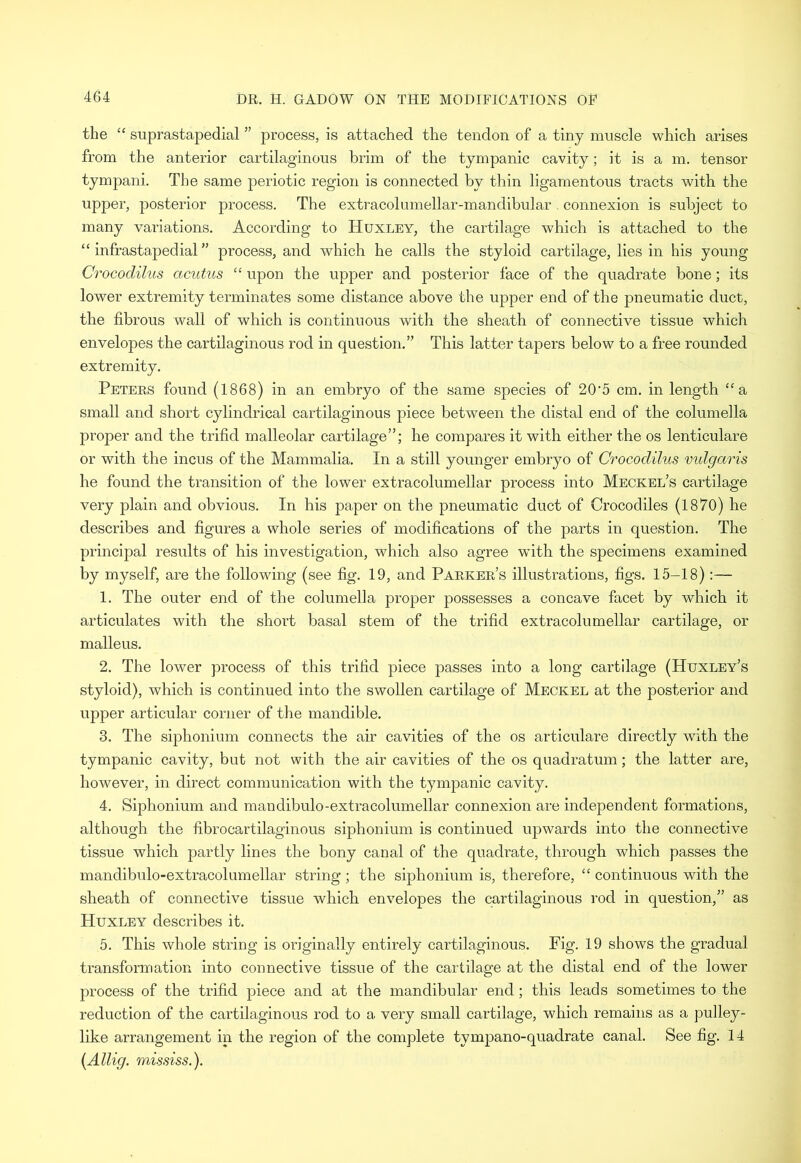 the “ suprastapedial ” process, is attached the tendon of a tiny muscle which arises from the anterior cartilaginous brim of the tympanic cavity; it is a m. tensor tympani. The same periotic region is connected by thin ligamentous tracts with the upper, posterior process. The extracolumellar-mandibular. connexion is subject to many variations. According to Huxley, the cartilage which is attached to the “ infrastapedial ” process, and which he calls the styloid cartilage, lies in his young Crocodilus acutus “ upon the upper and posterior face of the quadrate bone; its lower extremity terminates some distance above the upper end of the pneumatic duct, the fibrous wall of which is continuous with the sheath of connective tissue which envelopes the cartilaginous rod in question.” This latter tapers below to a free rounded extremity. Peters found (1868) in an embryo of the same species of 20‘5 cm. in length “a small and short cylindrical cartilaginous piece between the distal end of the columella proper and the trifid malleolar cartilage”; he compares it with either the os lenticulare or with the incus of the Mammalia. In a still younger embryo of Crocodilus vulgaris he found the transition of the lower extracolumellar process into Meckel’s cartilage very plain and obvious. In his paper on the pneumatic duct of Crocodiles (1870) he describes and figures a whole series of modifications of the parts in question. The principal results of his investigation, which also agree with the specimens examined by myself, are the following (see fig. 19, and Parker’s illustrations, figs. 15-18):— 1. The outer end of the columella proper possesses a concave facet by which it articulates with the short basal stem of the trifid extracolumellar cartilage, or malleus. 2. The lower process of this trifid piece passes into a long cartilage (Huxley’s styloid), which is continued into the swollen cartilage of Meckel at the posterior and upper articular corner of the mandible. 3. The siphonium connects the air cavities of the os articulare directly with the tympanic cavity, but not with the air cavities of the os quadratum; the latter are, however, in direct communication with the tympanic cavity. 4. Siphonium and mandibulo-extracolumellar connexion are independent formations, although the fibrocartilaginous siphonium is continued upwards into the connective tissue which partly lines the bony canal of the quadrate, through which passes the mandibulo-extracolumellar string ; the siphonium is, therefore, “ continuous with the sheath of connective tissue which envelopes the cartilaginous rod in question,” as Huxley describes it. 5. This whole string is originally entirely cartilaginous. Fig. 19 shows the gradual transformation into connective tissue of the cartilage at the distal end of the lower process of the trifid piece and at the mandibular end; this leads sometimes to the reduction of the cartilaginous rod to a very small cartilage, which remains as a pulley- like arrangement in the region of the complete tympano-quadrate canal. See fig. 14 (Allig. mississ.).