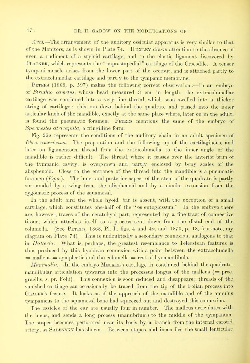 Aves.—The arrangement of the auditory ossicular apparatus is very similar to that of the Monitors, as is shown in Plate 74. Huxley draws attention to the absence of even a rudiment of a styloid cartilage, and to the elastic ligament discovered by Platner, which represents the “ snprastapedial ” cartilage of the Crocodile. A tensor tympani muscle arises from the lower part of the occiput, and is attached partly to’ the extracolumellar cartilage and partly to the tympanic membrane. Peters (1868, p. 597) makes the following correct observation:—In an embryo of Struthio camelus, whose head measured 8 cm. in length, the extracolumellar cartilage was continued into a very fine thread, which soon swelled into a thicker string of cartilage ; this ran down behind the quadrate and passed into the inner articular knob of the mandible, exactly at the same place where, later on in the adult, is found the pneumatic foramen. Peters mentions the same of the embryo of Spermestes atricapilla, a fringilline form. Fig. 25a represents the conditions of the auditory chain in an adult specimen of Rhea americana. The preparation and the following up of the cartilaginous, and later on ligamentous, thread from the extracolumella to the inner angle of the mandible is rather difficult. The thread, where it passes over the anterior brim of the tympanic cavity, is overgrown and partly enclosed by bony scales of the alisphenoid. Close to the entrance of the thread into the mandible is a pneumatic foramen (F.pn.). The inner and posterior aspect of the stem of the quadrate is partly surrounded by a wing from the alisphenoid and by a similar extension from the zygomatic process of the squamosal. In the adult bird the whole hyoid bar is absent, with the exception of a small cartilage, which constitutes one-half of the “ os entoglossum.” In the embryo there are, however, traces of the ceratohyal part, represented by a fine tract of connective tissue, which attaches itself to a process sent down from the distal end of the columella. (See Peters, 1868, PI. I., figs. 4 and 4cq and 1870, p. 18, foot-note, my diagram on Plate 74). This is undoubtedly a secondary connexion, analogous to that in Hatteria. What is, perhaps, the greatest resemblance to Teleostean features is thus produced by this hyoidean connexion with a point between the extracolumella = malleus = symplectic and the columella = rest of hyomandibula. Mammalia. — In the embryo Meckel’s cartilage is continued behind the quadrato- mandibular articulation upwards into the processus longus of the malleus (= proc. gracilis, s. pr. Folii). This connexion is soon reduced and disappears; threads of the vanished cartilage can occasionally be traced from the tip of the Folian process into Glaser’s fissure. It looks as if the approach of the mandible and of the annulus tympanicus to the squamosal bone had squeezed out and destroyed this connexion. The ossicles of the ear are usually four in number. The malleus articulates with the incus, and sends a long process (manubrium) to the middle of the tympanum. The stapes becomes perforated near its basis by a branch from the internal carotid artery, as Salensky has shown. Between stapes and incus lies the small lenticular