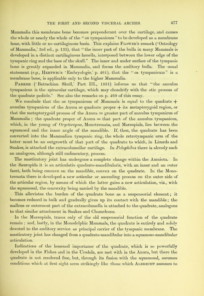 Mammalia this membrane bone becomes preponderant over the cartilage, and causes the whole or nearly the whole of the “ os tympanicum ” to be developed as a membrane bone, with little or no cartilaginous basis. This explains Flower’s remark (‘Osteology of Mammalia,’ 3rd ed., p. 133), that “the inner part of the bulla in many Mammals is developed in a distinct cartilaginous lamella, interposed between the lower edge of the tympanic ring and the base of the skull.” The inner and under surface of the tympanic bone is greatly expanded in Mammalia, and forms the auditory bulla. The usual statement (e.g., Hertwig's ‘Embryologie,’ p. 461), that the “os tympanicum” is a membrane bone, is applicable only to the higher Mammalia. Parker (‘Batrachian Skull,’ Part HI., 1881) informs us that “the annulus tympanicus is the spiracular cartilage, which may chondrify with the otic process of the quadrate pedicle.” See also the remarks on p. 460 of this essay. We conclude that the os tympanicum of Mammals is equal to the quadrate + annulus tympanicus of the Annra = quadrate proper -f- its metapterygoid region, or that the metapterygoid process of the Anura = greater part of annulus tympanicus of Mammalia ; the quadrate proper of Anura = that part of the annulus tympanicus, which, in the young of Orycteropus, Monotremata, and Marsupials, lies between the squamosal and the inner angle of the mandible. If, then, the quadrate has been converted into the Mammalian tympanic ring, the whole retrotympanic arm of the latter must be an outgrowth of that part of the quadrate to which, in Lizards and Snakes, is attached the extracolumellar cartilage. In Pelophilus there is already such an analogous, although still rudimentary, process. The masticatory joint has undergone a complete change within the Amniota. In the Sauropida it is an articulatio quadrato-mandibularis, with an inner and an outer facet, both being concave on the mandible, convex on the quadrate. In the Mono- tremata there is developed a new articular or ascending process on the outer side of the articular region, by means of which the latter gains a new articulation, viz., with the squamosal, the convexity being carried by the mandible. This alleviates the burden of the quadrate bone as a suspensorial element; it becomes reduced in bulk and gradually gives up its contact with the mandible; the malleus or outermost part of the extracolumella is attached to the quadrate, analogous to that similar attachment in Snakes and Chameleons. In the Marsupials, traces only of the old suspensorial function of the quadrate remain ; and, lastly, in the Monodelphic Mammals, the quadrate is entirely and solely devoted to the auditory service as principal carrier of the tympanic membrane. The masticatory joint has changed from a quadrato-mandibular into a squamoso-mandibular articulation. Indications of the lessened importance of the quadrate, which is so powerfully developed in the Fishes and in the Urodela, are met with in the Anura, but there the quadrate is not rendered free, but, through its fusion with the squamosal, assumes conditions which at first sight seem strikingly like those which Albrecht assumes to