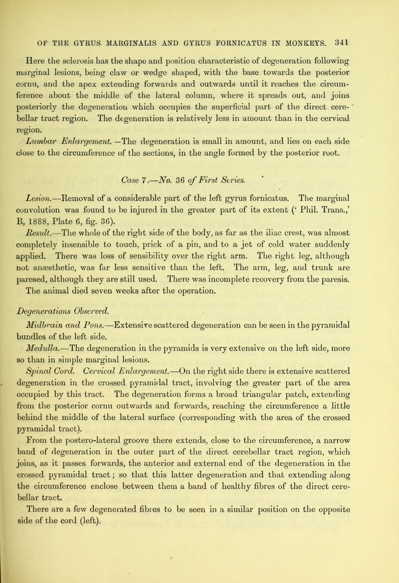 Here the sclerosis has the shape and position characteristic of degeneration following marginal lesions, being claw or wedge shaped, with the base towards the posterior cornu, and the apex extending forwards and outwards until it reaches the circum- ference about the middle of the lateral column, where it spreads out, and joins posteriorly the degeneration which occupies the superficial part of the direct cere- bellar tract region. The degeneration is relatively less in amount than in the cervical region. Lumbar Enlargement. —The degeneration is small in amount, and lies on each side dose to the circumference of the sections, in the angle formed by the posterior root. Case 7.—No. 36 of First Series. Lesion.—Removal of a considerable part of the left gyrus fornicatus. The marginal convolution was found to be injured in the greater part of its extent (‘ Phil. Trans.,’ B, 1888, Plate 6, fig. 36). Result.—The whole of the right side of the body, as far as the iliac crest, was almost completely insensible to touch, prick of a pin, and to a jet of cold water suddenly applied. There was loss of sensibility over the right arm. The right leg, although not anaesthetic, was far less sensitive than the left. The arm, leg, and trunk are paresed, although they are still used. There was incomplete recovery from the paresis. The animal died seven weeks after the operation. Degenerations Observed. Midbrain and Pons.—Extensive scattered degeneration can be seen in the pyramidal bundles of the left side. Medulla.—The degeneration in the pyramids is very extensive on the left side, more so than in simple marginal lesions. Spinal Cord. Cervical Enlargement.—On the right side there is extensive scattered degeneration in the crossed pyramidal tract, involving the greater part of the area occupied by this tract. The degeneration forms a broad triangular patch, extending from the posterior cornu outwards and forwards, reaching the circumference a little behind the middle of the lateral surface (corresponding with the area of the crossed pyramidal tract). From the postero-lateral groove there extends, close to the circumference, a narrow band of degeneration in the outer part of the direct cerebellar tract region, which joins, as it passes forwards, the anterior and external end of the degeneration in the crossed pyramidal tract; so that this latter degeneration and that extending along the circumference enclose between them a band of healthy fibres of the direct cere- bellar tract. There are a few degenerated fibres to be seen in a similar position on the opposite side of the cord (left).