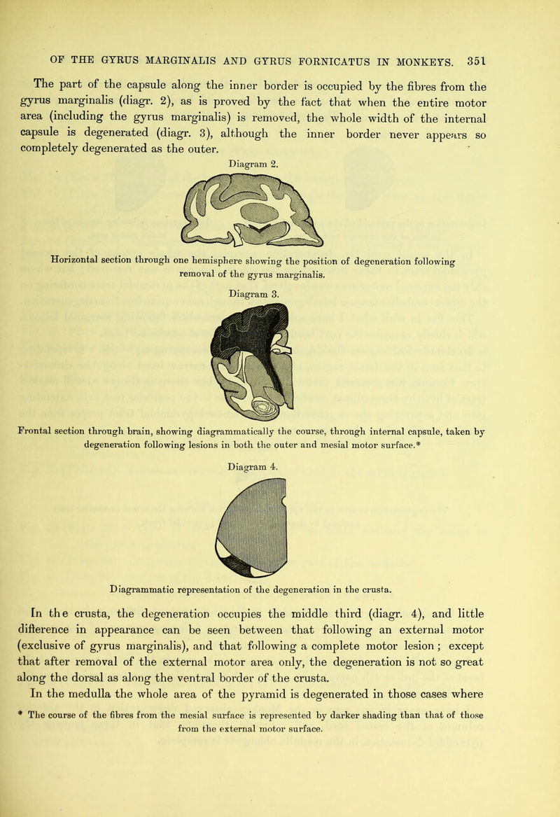 The part of the capsule along the inner border is occupied by the fibres from the gyrus marginalis (diagr. 2), as is proved by the fact that when the entire motor area (including the gyrus marginalis) is removed, the whole width of the internal capsule is degenerated (diagr. 3), although the inner border never appears so completely degenerated as the outer. Diagram 2. Horizontal section tFrougli one hemisphere showing the position of degeneration following removal of the gyrus marginalis. Diagram 3. Frontal section through brain, showing diagrammatically the course, through internal capsule, taken by degeneration following lesions in both the outer and mesial motor surface.* Diagram 4. Diagrammatic representation of the degeneration in the crusta. [n the crusta, the degeneration occupies the middle third (diagr. 4), and little difterence in appearance can be seen between that following an external motor (exclusive of gyrus marginalis), and that following a complete motor lesion ; except that after removal of the external motor area only, the degeneration is not so great along the dorsal as along the ventral border of the crusta. In the medulla the whole area of the pyramid is degenerated in those cases where * The course of the fibres from the mesial surface is represented by darker shading than that of those from the external motor surface.