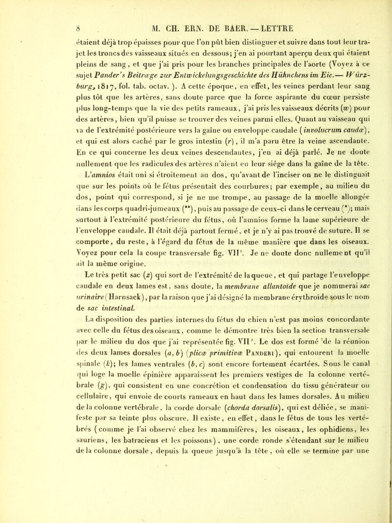 étaient déjà trop épaisses pour que l’on pût bien distinguer et suivre dans tout ieur tra- jet les troncs des vaisseaux situés en dessous; j’en ai pourtant aperçu deux qui étaient pleins de sang, et que j’ai pris pour les branches principales de l’aorte (Yoyez à ce sujet Pander’s Beitrœge zur Entwickelungsgescliiclite des Hühnchens im Eie.— Würz- burg, 1817, fol. tab. octav. ). A cette époque, en effet, les veines perdant leur sang plus tôt que les artères, sans doute parce que la force aspirante du cœur persiste plus long-temps que la vie des petits rameaux, j’ai pris les vaisseaux décrits (w) pour des artères, bien qu’il puisse se trouver des veines parmi elles. Quant au vaisseau qui va de l’extrémité postérieure vers la gaine ou enveloppe caudale ( involucrum caudœ), et qui est alors caché par le gros intestin (r), il m’a paru être la veine ascendante. En ce qui concerne les deux veines descendantes, j’en ai déjà parlé. Je ne doute nullement que les radicules des artères n’aient eu leur siège dans la gaine de la tête. L’amnios était uni si étroitement au dos, qu’avant de l’inciser on ne le distinguait que sur les points où le fétus présentait des courbures; par exemple, au milieu du dos, point qui correspond, si je ne me trompe, au passage de la moelle allongée dans les corps quadri-jumeaux (**), puis au passage de ceux-ci dans le cerveau (*); mais surtout à l’extrémité postérieure du fétus, où l’amnios forme la lame supérieure de l’enveloppe caudale. Il était déjà partout fermé, et je n’y ai pas trouvé de suture. Il se comporte, du reste, à l'égard du fétus de la même manière que dans les oiseaux. Yoyez pour cela la coupe transversale fig. V1I\ Je ne doute donc nullement qu’il ait la même origine. Le très petit sac (z) qui sort de l’extrémité de la queue, et qui partage l’enveloppe caudale en deux lames est, sans doute, la membrane allantoïde que je nommerai sac uWnfltre(Harnsack), par la raison que j’ai désigné la membrane érythroïde %ous le nom de sac intestinal. La disposition des parties internes du fétus du chien n’est pas moins concordante avec celle du fétus des oiseaux, comme le démontre très bien la section transversale par le milieu du dos que j’ai représentée fig. VII \ Le dos est formé ’de la réunion des deux lames dorsales [a, b) (plicce primitives Panderi), qui entourent la moelle spinale (/;); les lames ventrales (b, c) sont encore fortement écartées. Sous le canal qui loge la moelle épinière apparaissent les premiers vestiges de la colonne verté- brale (g), qui consistent en une concrétion et condensation du tissu générateur ou cellulaire, qui envoie de courts rameaux en haut dans les lames dorsales. An milieu delà colonne vertébrale, la corde dorsale (chorda dorsalis), qui est déliée, se mani- feste par sa teinte plus obscure. H existe, en effet, dans le fétus de tous les verté- brés (comme je l’ai observé chez les mammifères, les oiseaux, les ophidiens, les sauriens, les batraciens et les poissons), une corde ronde s’étendant sur le milieu delà colonne dorsale, depuis la queue jusqu’à la tête, où elle se termine par une