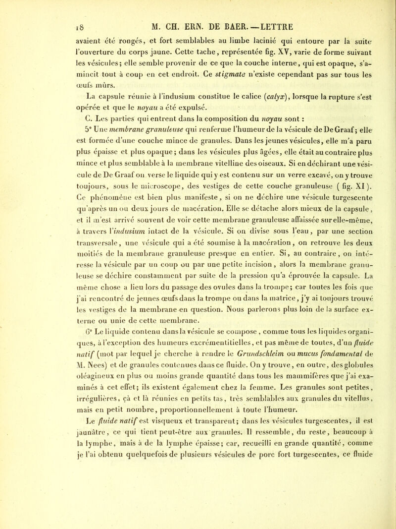 avaient été rongés, et fort semblables au limbe lacinié qui entoure par la suite l’ouverture du corps jaune. Cette tache, représentée fig. XV, varie de forme suivant les vésicules; elle semble provenir de ce que la couche interne, qui est opaque, s’a- mincit tout à coup en cet endroit. Ce stigmate n’existe cependant pas sur tous les œufs mûrs. La capsule réunie à l’indusium constitue le calice (calyx), lorsque la rupture s’est opérée et que le noyau a été expulsé. C. Les parties qui entrent dans la composition du noyau sont : 5° Une membrane granuleuse qui renferme l’humeur de la vésicule de De Graaf ; elle est formée d’une couche mince de granules. Dans les jeunes vésicules, elle m’a paru plus épaisse et plus opaque; dans les vésicules plus âgées, elle était au contraire plus mince et plus semblable à la membrane vitelline des oiseaux. Si en déchirant une vési- cule de De Graaf on verse le liquide qui y est contenu sur un verre excavé, on y trouve toujours, sous le microscope, des vestiges de cette couche granuleuse (fig. XI). Ce phénomène est bien plus manifeste, si on ne déchire une vésicule turgescente qu’après un ou deux jours de macération. Elle se détache alors mieux de la capsule, et il m’est arrivé souvent de voir cette membrane granuleuse affaissée sur elle-même, à travers Yindusium intact de la vésicule. Si on divise sous l’eau, par une section transversale, une vésicule qui a été soumise à la macération, on retrouve les deux moitiés de la membrane granuleuse presque en entier. Si, au contraire, on inté- resse la vésicule par un coup ou par une petite incision, alors la membrane granu- leuse se déchire constamment par suite de la pression qu’a éprouvée la capsule. La même chose a lieu lors du passage des ovules dans la trompe; car toutes les fois que j’ai rencontré de jeunes œufs dans la trompe ou dans la matrice, j’y ai toujours trouvé les vestiges de la membrane en question. Nous parlerons plus loin de la surface ex- terne ou unie de cette membrane. 6° Le liquide contenu dans la vésicule se compose , comme tous les liquides organi- ques, à l’exception des humeurs excrémentitielles, et pas même de toutes, d’un fluide natif (mot par lequel je cherche à rendre le Grundsckteim ou mucus fondamental de M. Nees) et de granules contenues dans ce fluide. On y trouve, en outre, des globules oléagineux en plus ou moins grande quantité dans tous les mammifères que j’ai exa- minés à cet effet; ils existent également chez la femme. Les granules sont petites, irrégulières, çà et là réunies en petits tas, très semblables aux granules du vitellus, mais en petit nombre, proportionnellement à toute l’humeur. Le fluide natif est visqueux et transparent; dans les vésicules turgescentes, il est jaunâtre, ce qui tient peut-être aux granules. Il ressemble, du reste, beaucoup à la lymphe, mais à de la lymphe épaisse; car, recueilli en grande quantité, comme je l’ai obtenu quelquefois de plusieurs vésicules de porc fort turgescentes, ce fluide