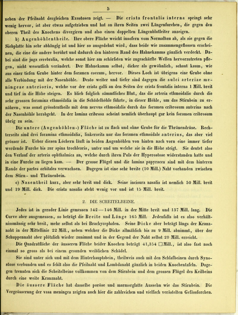 neben der Pfeilnaht dergleichen Exostosen zeigt. — Die crista frontalis interna springt sehr wenig hervor, ist aber etwas aufgetrieben und hat an ihren Seiten zwei Längenfurchen, die gegen den oberen Theil des Knochens divergiren und also einen doppelten Längenblutleiter anzeigen. b) Augenhöhle nt heile. Ihre obere Fläche weicht insofern vom Normalbau ab, als sie gegen die Siebplatte hin sehr abhängig ist und hier so ausgedehnt wird, dass beide wie zusammengeflossen erschei- nen, die eine die andere berührt und dadurch den hinteren Rand des Hahnekamms gänzlich verdeckt. Da- bei sind die juga cerebralia, welche sonst hier am schärfsten wie zugeschärfte Wellen hervorzutreten pfle- gen, nicht wesentlich verändert. Der Hahnekamm selbst, dicker als gewöhnlich, schaut kaum, wie aus einer tiefen Grube hinter dem foramen coecum, hervor. Dieses Loch ist übrigens eine Grube ohne alle Verbindung mit der Nasenhöhle. Desto weiter und tiefer sind dagegen die sulci arteriae me- ningeae anterioris, welche vor der crista galli an den Seiten der crista frontalis interna 1 Mill. breit und tief in die Höhe steigen. Es blieb folglich sämmtliches Blut, das die arteria ethmoidalis durch die sehr grossen foramina ethmoidalia in die Schädelhöhle führte, in dieser Höhle, um das Stirnbein zu er- nähren , was sonst grösstentheils mit dem nervus ethmoidalis durch das foramen cribrosum anterius nach der Nasenhöhle herabgeht. In der lamina cribrosa scheint nemlich überhaupt gar kein foramen cribrosum übrig zu sein. Die untere (Augenhöhlen-) Fläche ist zu flach und ohne Grube für die Thränendriise. Rech- terseits sind drei foramina ethmoidalia, linkerseits nur das foramen ethmoidale anterius, das aber viel grösser ist. Ueber diesen Löchern läuft in beiden Augenhöhlen von hinten nach vorn eine immer tiefer werdende Furche bis zur spina trochlearis, unter und um welche sie in die Höhe steigt. Sie deutet also den Verlauf der arteria ophthalmica an, welche durch ihren Puls der Hyperostose widerstanden hatte und in eine Furche zu liegen kam. — Der grosse Flügel und die lamina papyracea sind mit dein hinteren Rande der partes orbitales verwachsen. Dagegen ist eine sehr breite (10 Mill.) Naht vorhanden zwischen dem Stirn- und Thränenbein. c) Nasentheil kurz, aber sehr breit und dick. Seine incisura nasalis ist nemlich 50 Milk breit und 19 Milk dick. Die crista nasalis steht wenig vor und ist 15 Milk breit. 2. DIE SCHEITELBEINE. Jedes ist in gerader Linie gemessen 142 —146 Milk in der Mitte breit und 137 Milk lang. Die Curve aber ausgemessen, so beträgt die Breite und Länge 165 Milk Jedenfalls ist es also verhält- nissmässig sehr breit, mehr selbst als bei Brachycephalen. Seine Dicke aber beträgt längs der Kranz- naht in der Mittellinie 22 Milk, neben welcher die Dicke allmählich bis zu 9 Milk abnimmt, über der Schuppennaht aber plötzlich wieder zunimmt und in der Gegend der Naht selbst 20 Milk erreicht. Die Quadratfläche der äusseren Fläche beider Knochen beträgt 41,354 □Milk, ist also fast noch einmal so gross als bei einem gesunden weiblichen Schädel. Sie sind unter sich und mit dem Hinterhauptsbein, theilweis auch mit den Schlafbeinen durch Syno- stose verbunden und es fehlt also die Pfeilnaht und Lambdanaht gänzlich in beiden Knochentafeln. Dage- gen trennten sich die Scheitelbeine vollkommen von dem Stirnbein und dem grossen Flügel des Keilbeins durch eine weite Kranznaht. Die äussere Fläche hat dasselbe poröse und marmorglatte Aussehn wie das Slirnbein. Die Vergrösserung der vasa meningea zeigten auch hier die zahlreichen und vielfach verästelten Gefässfurchen.