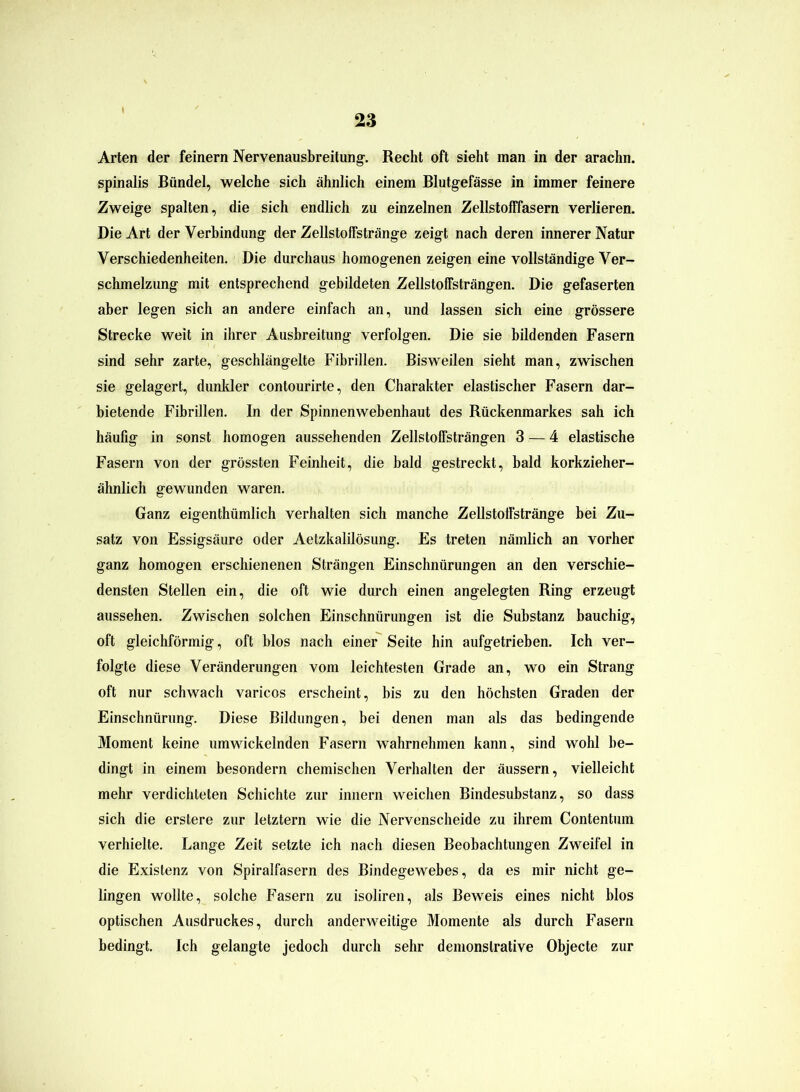 Arten der feinem Nervenausbreitung. Recht oft sieht man in der arachn. spinalis Bündel, welche sich ähnlich einem Blutgefässe in immer feinere Zweige spalten, die sich endlich zu einzelnen Zellstofffasern verlieren. Die Art der Verbindung der Zellstoffstränge zeigt nach deren innerer Natur Verschiedenheiten. Die durchaus homogenen zeigen eine vollständige Ver- schmelzung mit entsprechend gebildeten Zellstoffsträngen. Die gefaserten aber legen sich an andere einfach an, und lassen sich eine grössere Strecke weit in ihrer Ausbreitung verfolgen. Die sie bildenden Fasern sind sehr zarte, geschlängelte Fibrillen. Bisweilen sieht man, zwischen sie gelagert, dunkler contourirte, den Charakter elastischer Fasern dar- bietende Fibrillen. In der Spinnenwebenhaut des Rückenmarkes sah ich häufig in sonst homogen aussehenden Zellstoffsträngen 3 — 4 elastische Fasern von der grössten Feinheit, die bald gestreckt, bald korkzieher- ähnlich gewunden waren. Ganz eigenthümlich verhalten sich manche Zellstoffstränge bei Zu- satz von Essigsäure oder Aetzkalilösung. Es treten nämlich an vorher ganz homogen erschienenen Strängen Einschnürungen an den verschie- densten Stellen ein, die oft wie durch einen angelegten Ring erzeugt aussehen. Zwischen solchen Einschnürungen ist die Substanz bauchig, oft gleichförmig, oft blos nach einer Seite hin aufgetrieben. Ich ver- folgte diese Veränderungen vom leichtesten Grade an, wo ein Strang oft nur schwach varicos erscheint, bis zu den höchsten Graden der Einschnürung. Diese Bildungen, bei denen man als das bedingende Moment keine umwickelnden Fasern wahrnehmen kann, sind wohl be- dingt in einem besondern chemischen Verhalten der äussern, vielleicht mehr verdichteten Schichte zur innern weichen Bindesubstanz, so dass sich die erstere zur letztem wie die Nervenscheide zu ihrem Contentum verhielte. Lange Zeit setzte ich nach diesen Beobachtungen Zweifel in die Existenz von Spiralfasern des Bindegewebes, da es mir nicht ge- lingen wollte, solche Fasern zu isoliren, als Beweis eines nicht blos optischen Ausdruckes, durch anderweitige Momente als durch Fasern bedingt. Ich gelangte jedoch durch sehr demonstrative Objecte zur