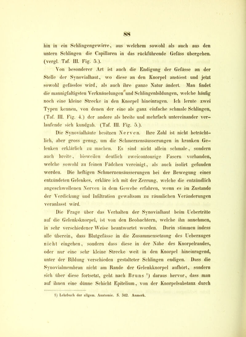 hin in ein Schlingengewirre, aus welchem sowohl als auch aus den untern Schlingen die Capillaren in das rückführende Gefäss übergehen, (vergl. Taf. III. Fig. 5.). Von besonderer Art ist auch die Endigung der Gefässe an der Stelle der Synovialhaut, wo diese an den Knorpel anstösst und jetzt sowohl gefässlos wird, als auch ihre ganze Natur ändert. Man findet die mannigfaltigsten Verknäuelungen und Schlingenbildungen, welche häufig noch eine kleine Strecke in den Knorpel hineinragen. Ich lernte zwei Typen kennen, von denen der eine als ganz einfache schmale Schlingen, (Taf. III. Fig. 4.) der andere als breite und mehrfach untereinander ver- laufende sich kundgab. (Taf. III. Fig. 5.). Die Synovialhäute besitzen Nerven. Ihre Zahl ist nicht beträcht- lich, aber gross genug, um die Schmerzensäusserungen in kranken Ge- lenken erklärlich zu machen. Es sind nicht allein schmale, sondern auch breite, bisweilen deutlich zweicontourige Fasern vorhanden, welche sowohl zu feinen Fädchen vereinigt, als auch isolirt gefunden werden. Die heftigen Schmerzensäusserungen bei der Bewegung eines entzündeten Gelenkes, erkläre ich mit der Zerrung, welche die entzündlich angeschwollenen Nerven in dem Gewebe erfahren, wenn es im Zustande der Verdickung und Infdtration gewaltsam zu räumlichen Veränderungen veranlasst wird. Die Frage über das Verhalten der Synovialhaut beim Uebertritte auf die Gelenksknorpel, ist von den Beobachtern, welche ihn annehmen, in sehr verschiedener Weise beantwortet worden. Darin stimmen indess alle überein, dass Blutgefässe in die Zusammensetzung des Ueberzuges nicht eingehen, sondern dass diese in der Nähe des Knorpelrandes, oder nur eine sehr kleine Strecke weit in den Knorpel hineinragend, unter der Bildung verschieden gestalteter Schlingen endigen. Dass die Synovialmembran nicht am Rande der Gelenkknorpel aufhört, sondern sich über diese fortsetzt, geht nach Bruns ') daraus hervor, dass man auf ihnen eine dünne Schicht Epitelium, von der Knorpelsubstanz durch 1) Lehrbuch der aligem. Anatomie. S. 342. Anmerk.