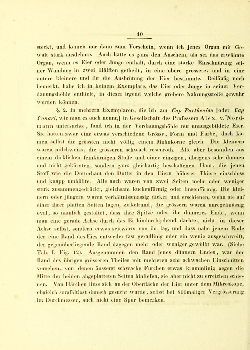 steckt, und kamen nur dann zum Vorschein, wenn ich jenes Organ mit Ge- walt stark ausdehnte. Auch hatte es ganz den Anschein, als sei das erwähnte Organ, wenn es Eier oder Junge enthält, durch eine starke Einschnürung sei- ner Wandung in zwei Hälften getheilt, in eine obere grössere, und in eine untere kleinere und für die Ausbrütung der Eier bestimmte. Beiläufig noch bemerkt, habe ich in keinem Exemplare, das Eier oder Junge in seiner Ver- dauungshÖhle enthielt, in dieser irgend welche gröbere Nahrungsstoffe gewahr werden können. §. 2. In mehrern Exemplaren, die ich am Cap Parthenion [oder Cap Fanari, wie man es auch nennt,] in Gesellschaft des Professors Alex. v.'Nord- mann untersuchte, fand ich in der Verdauungshöhle nur unausgebildete Eier. Sic hatten zwar eine etwas verschiedene Grösse, Form und Farbe, doch ka- men selbst die grössten nicht völlig einem Molmkornc gleich. Die kleinern waren milchweiss, die grösseren schwach rosenroth. Alle aber bestanden aus einem dicklichen feinkörnigen Stoffe und einer einzigen, übrigens sehr dünnen und nicht gekörnten, sondern ganz gleichartig beschaffenen Haut, die jenen Stoff wie die Dotterbaut den Dotter in den Eiern höherer Thiere einschloss und knapp umhüllte. Alle auch waren von zwei Seiten mein- oder weniger stark zusammengedrückt, gleichsam kuchenförmig oder linsenförmig. Die klei- nern oder jüngern w aren verhältnissmässig dicker und erschienen, wenn sie auf einer ihrer platten Seiten lagen, zirkelrund, die grossem waren unregelmässig oval, so nämlich gestaltet, dass ihre Spitze oder ihr dünneres Ende, wenn man eine gerade Achse durch das Ei hindurchgehend dachte, nicht in dieser Achse selbst, sondern etwas seitwärts von ihr lag, und dass nahe jenem Ende der eine Rand des Eies entweder fast geradlinig oder ein w enig ausgeschweift, der gegenüberliegende Rand dagegen mehr oder weniger gewölbt war. (Siche Tab. I. Fig. 12). Ausgenommen den Rand jenes dünnem Endes, war der Rand des übrigen grösseren Theiles mit mehreren sein schwachen Einschnitten versehen, von denen äusserst schwache Furchen etwas krummlinig gegen die Mitte der beiden abgeplatteten Seiten hinliefen, sie aber nicht zu erreichen schie- nen. Von Härchen liess sich ander Oberfläche der Eier unter dem Mikroskope, obgleich sorgfaltigst danach gesucht wurde, selbst bei SOOmaliger Vcrgrösserung im Durchmesser, auch nicht eine Spur bemerken.