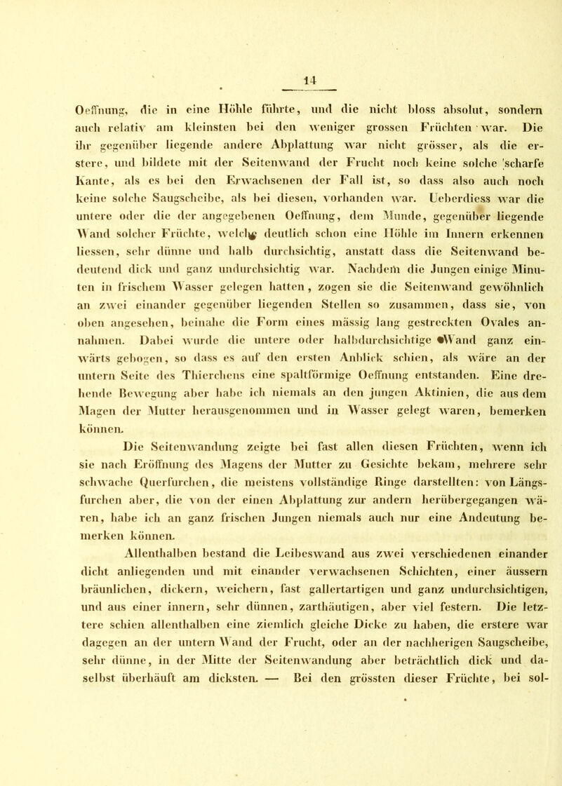Oeffnung, die in eine Höhle führte, und die nicht bloss absolut, sondern auch relativ am kleinsten bei den weniger grossen Früchten war. Die ihr gegenüber liegende andere Abplattung war nicht grösser, als die er- stere, und bildete mit der Seitenwand der Frucht noch keine solche scharfe Kante, als es bei den Erwachsenen der Fall ist, so dass also auch noch keine solche Saugscheibe, als bei diesen, vorhanden war. Uebcrdiess war die untere oder die der angegebenen Oeffnung, dem Munde, gegenüber liegende Wand solcher Früchte, welc% deutlich schon eine Höhle im Innern erkennen Hessen, sehr dünne und halb durchsichtig, anstatt dass die Seitenwand be- deutend dick und ganz undurchsichtig war. Nachdem die Jungen einige Minu- ten in frischem Wasser gelegen hatten, zogen sie die Seitenwand gewöhnlich an zwei einander gegenüber liegenden Stellen so zusammen, dass sie, von oben angesehen, beinahe die Form eines massig laug gestreckten Ovales an- nahmen. Dabei wurde die untere oder halbdurchsichtige «Wand ganz ein- wärts gebogen, so dass es auf den eisten Anblick schien, als wäre an der untern Seite des Thiercliens eine spaltförmige Oeffnung entstanden. Eine dre- hende Bewegung aber habe ich niemals an den jungen Aktinien, die aus dem Magen der Mutter herausgenommen und in Wasser gelegt waren, bemerken können. Die Scitenwandung zeigte bei fast allen diesen Früchten, wenn ich sie nach Eröffnung des Magens der Mutter zu Gesiebte bekam, mehrere sehr schwache Querfurchen, die meistens vollständige Ringe darstellten: von Längs- furchen aber, die von der einen Abplattung zur andern herübergegangen wä- ren, habe ich an ganz frischen Jungen niemals auch nur eine Andeutung be- merken können. Allenthalben bestand die Leibeswand aus zwei verschiedenen einander dicht anliegenden und mit einander verwachsenen Schichten, einer äussern bräunlichen, dickem, weichem, fast gallertartigen und ganz undurchsichtigen, und aus einer innern, sehr dünnen, zarthäutigen, aber viel festem. Die letz- tere schien allenthalben eine ziemlich gleiche Dicke zu haben, die erstere war dagegen an der untern W and der Frucht, oder an der nachherigen Saugscheibe, sehr dünne, in der Mitte der Seitenwandung aber beträchtlich dick und da- selbst überhäuft am dicksten. — Bei den grössten dieser Früchte, bei sol-