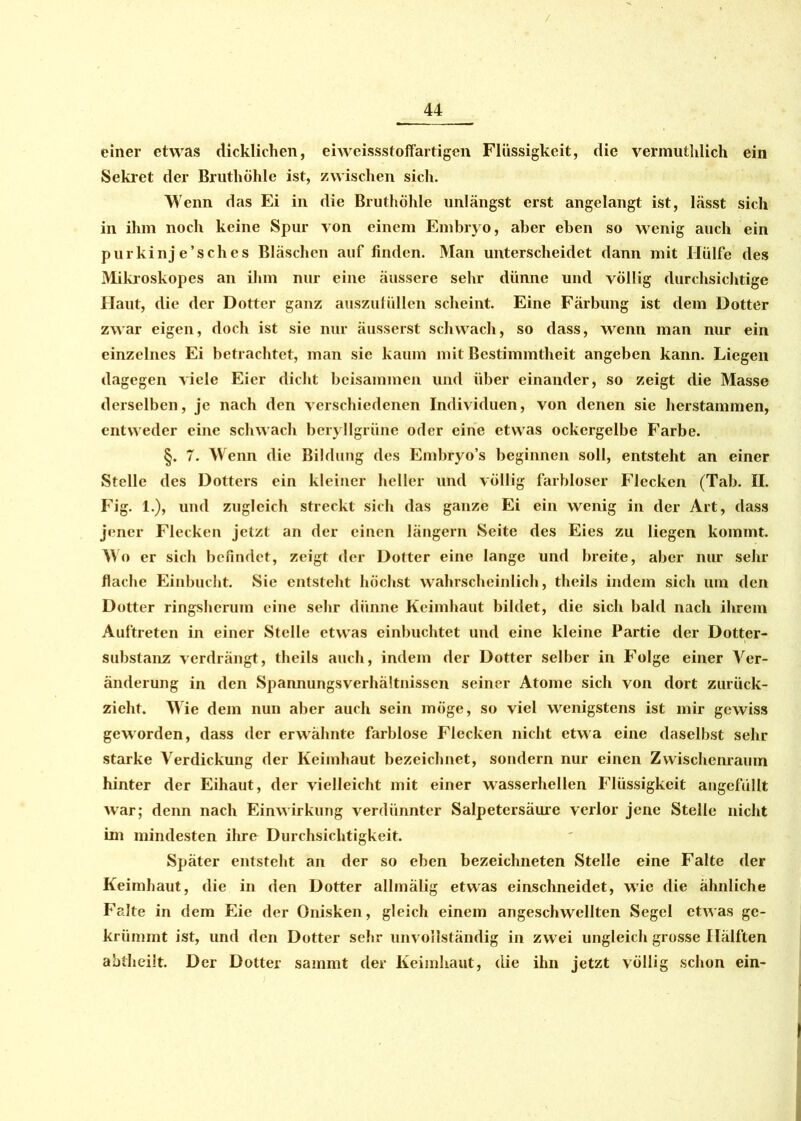 einer etwas dicklichen, eiweissstoffartigen Flüssigkeit, die vermutlilich ein Sekret der Bruthöhle ist, zwischen sich. Wenn das Ei in die Bruthöhle unlängst erst angelangt ist, lässt sich in ihm noch keine Spur von einem Embryo, aber eben so wenig auch ein purkinj e’sch es Bläschen auf finden. Man unterscheidet dann mit Hülfe des Mikroskopes an ihm nur eine äussere sehr dünne und völlig durchsichtige Haut, die der Dotter ganz auszufüllen scheint. Eine Färbung ist dem Dotter zwar eigen, doch ist sie nur äusserst schwach, so dass, wenn man nur ein einzelnes Ei betrachtet, man sie kaum mit Bestimmtheit angeben kann. Liegen dagegen viele Eier dicht beisammen und über einander, so zeigt die Masse derselben, je nach den verschiedenen Individuen, von denen sie herstammen, entweder eine schwach beryllgrüne oder eine etwas ockergelbe Farbe. §. 7. Wenn die Bildung des Embryo’s beginnen soll, entsteht an einer Stelle des Dotters ein kleiner heller und völlig farbloser Flecken (Tab. II. Fig. 1.), und zugleich streckt sich das ganze Ei ein wenig in der Art, dass jener Flecken jetzt an der einen längern Seite des Eies zu liegen kommt. Wo er sich befindet, zeigt der Dotter eine lange und breite, aber nur sehr flache Einbucht. Sie entsteht höchst wahrscheinlich, theils indem sich um den Dotter ringsherum eine sehr dünne Keimhaut bildet, die sich bald nach ihrem Auftreten in einer Stelle etwas einbuchtet und eine kleine Partie der Dotter- substanz verdrängt, theils auch, indem der Dotter selber in Folge einer Ver- änderung in den Spannungsverhältnissen seiner Atome sich von dort zurück- zieht. Wie dem nun aber auch sein möge, so viel wenigstens ist mir gewiss geworden, dass der erwähnte farblose Flecken nicht etwa eine daselbst sehr starke Verdickung der Keimhaut bezeichnet, sondern nur einen Zwischenraum hinter der Eihaut, der vielleicht mit einer wasserhellen Flüssigkeit angefüllt war; denn nach Einwirkung verdünnter Salpetersäure verlor jene Stelle nicht im mindesten ihre Durchsichtigkeit. Später entsteht an der so eben bezeichneten Stelle eine Falte der Keimhaut, die in den Dotter allmälig etwas einschneidet, wie die ähnliche Falte in dem Eie der Onisken, gleich einem angeschwellten Segel etwas ge- krümmt ist, und den Dotter sehr unvollständig in zwei ungleich grosse Hälften abtheilt. Der Dotter sammt der Keimhaut, die ihn jetzt völlig schon ein-